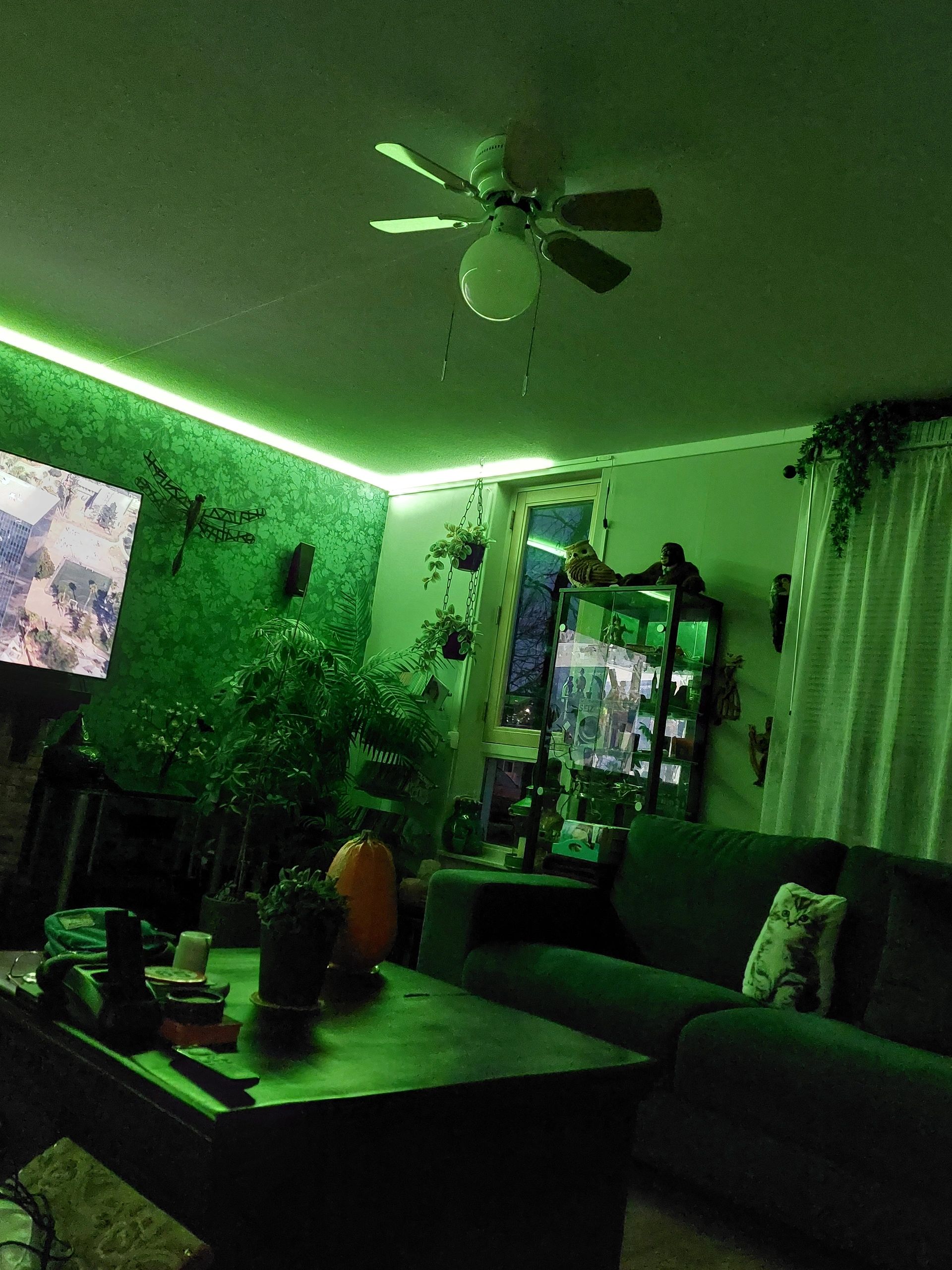 5 meter RGBWW led strip prime met 840 leds p/m - complete set