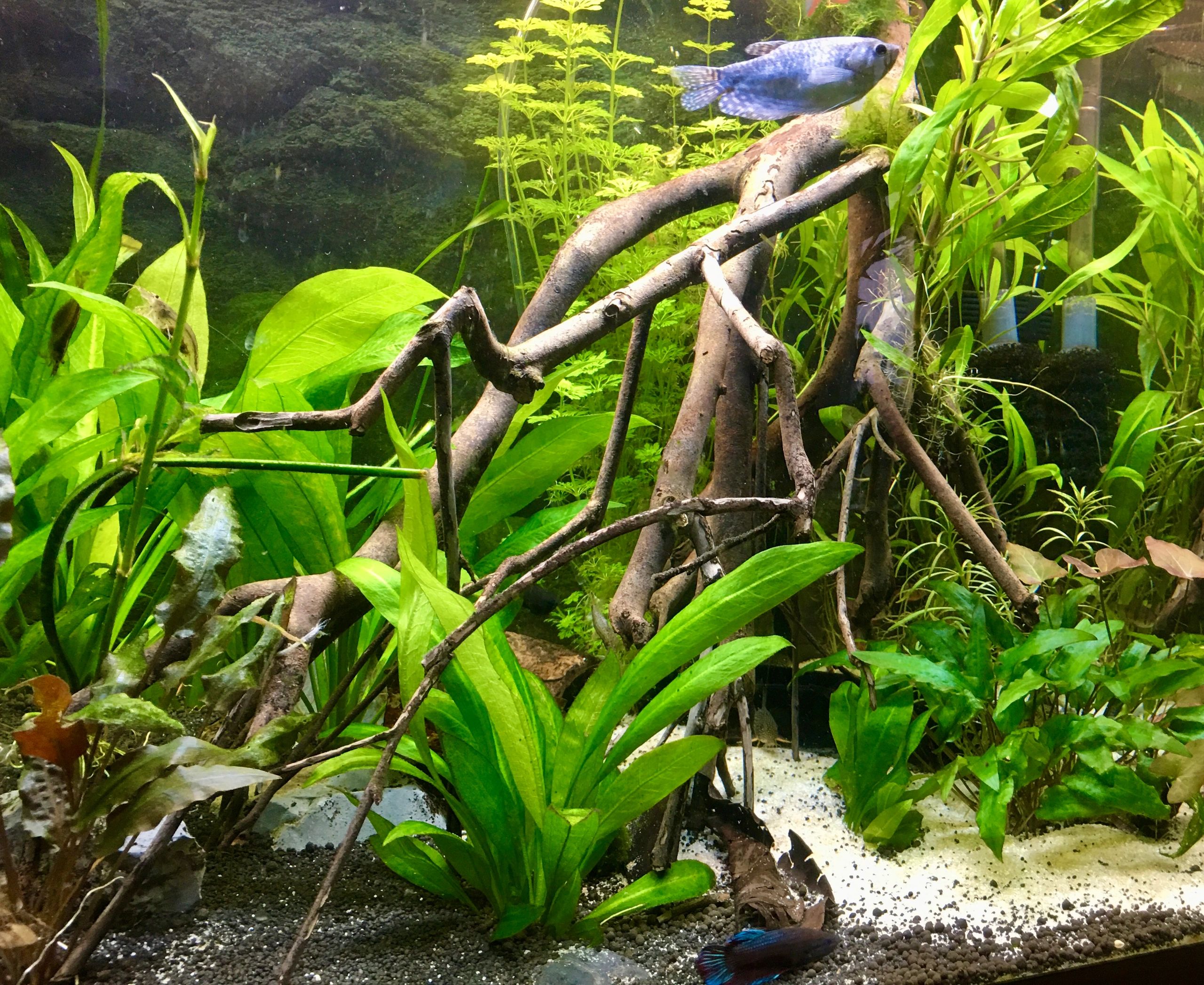 36 Watt - 24V / 1.5A Adapter für LED Streifen