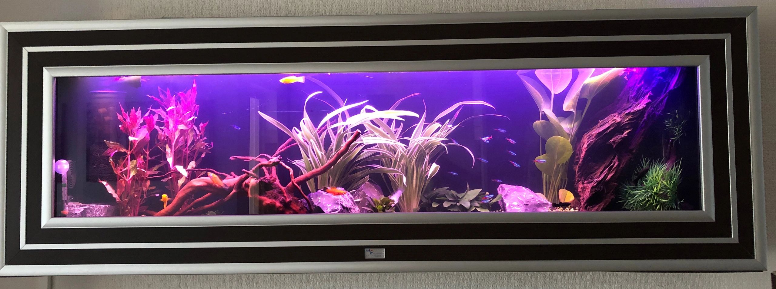2 bis 2,5 Meter Warmweiß komplettes Set Aquarium LED Streifen