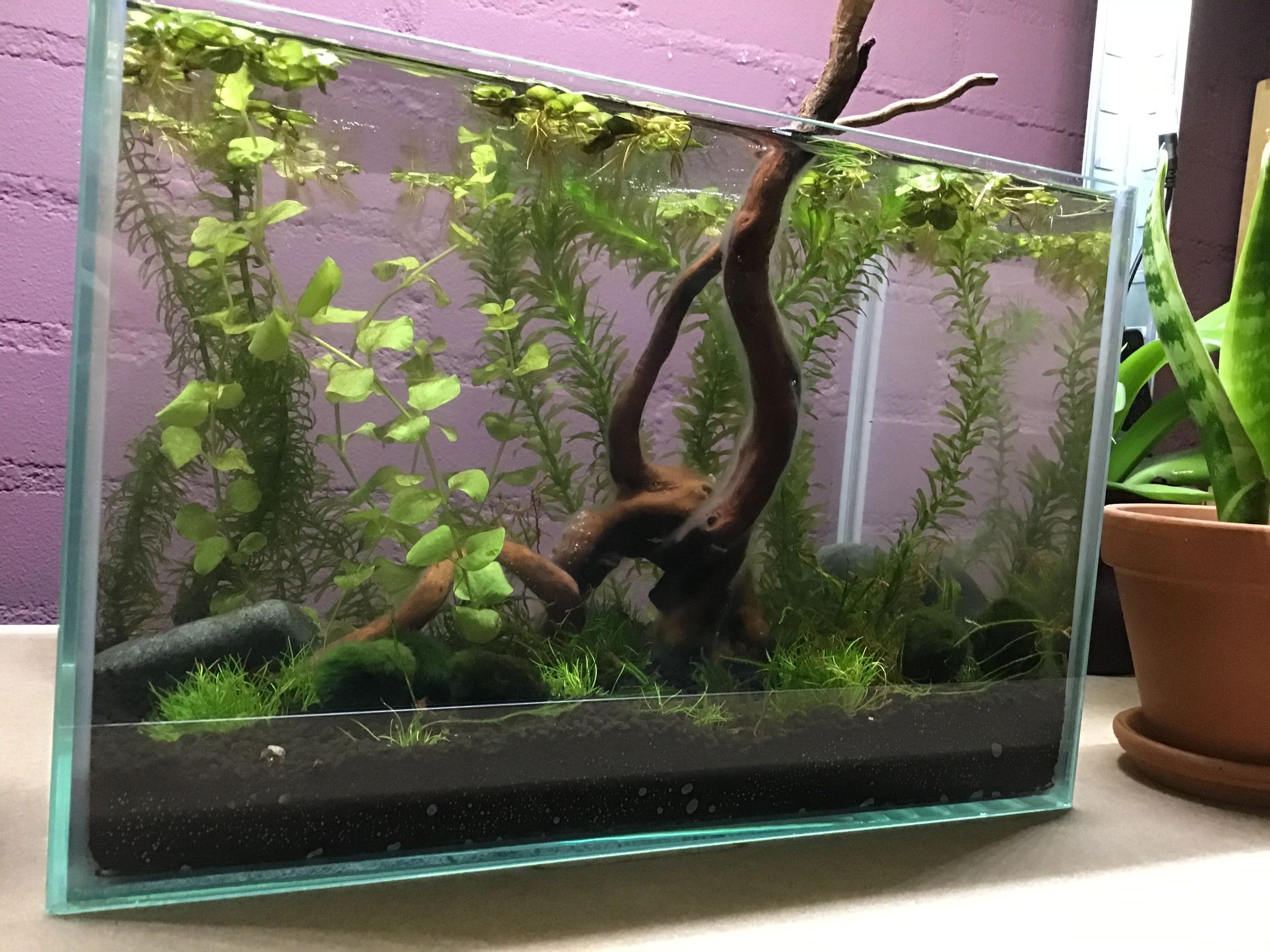 70 bis 100 cm Neutralweiß komplettes Set Aquarium LED Streifen