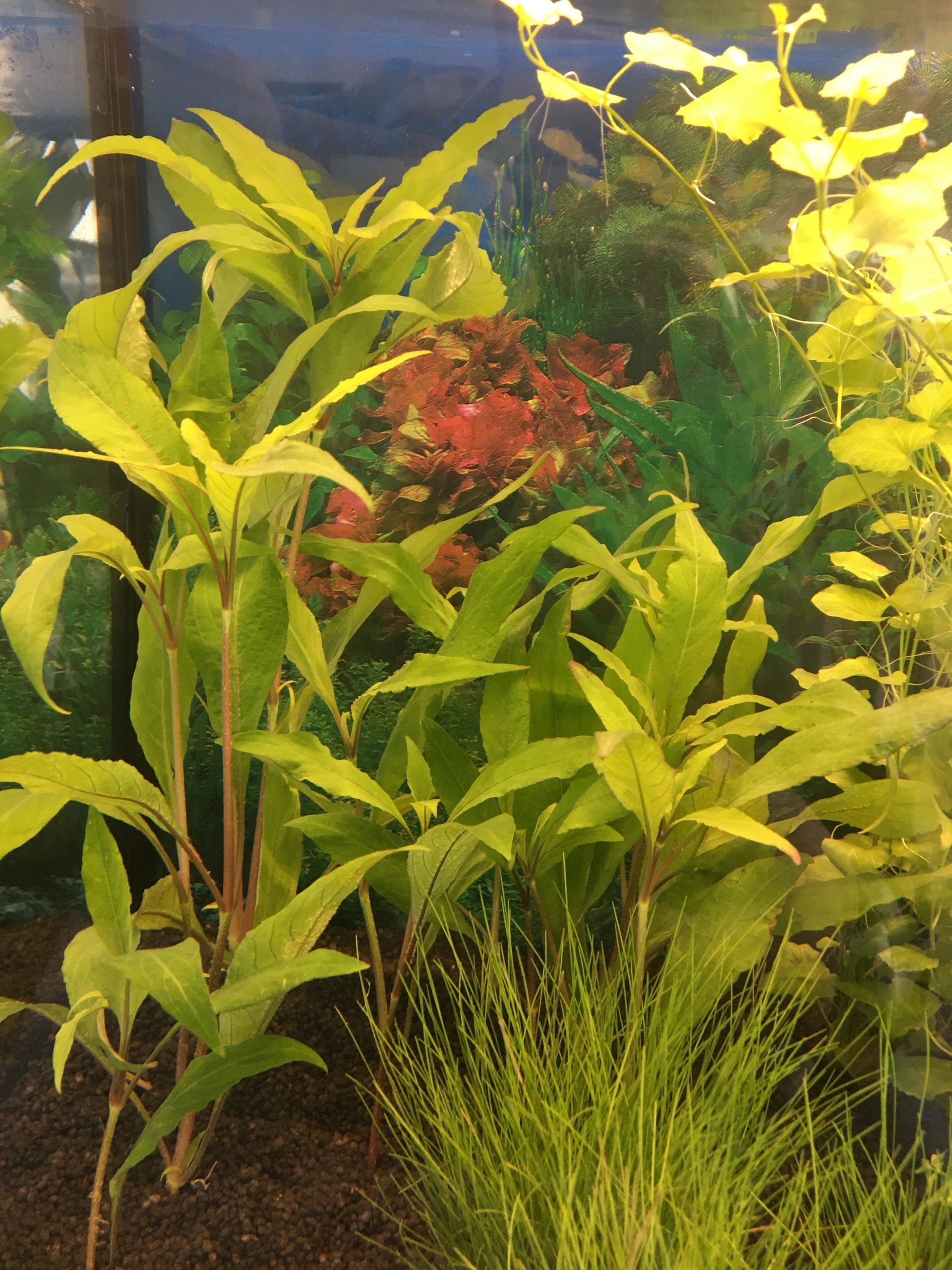 2 bis 2,5 Meter Warmweiß komplettes Set Aquarium LED Streifen