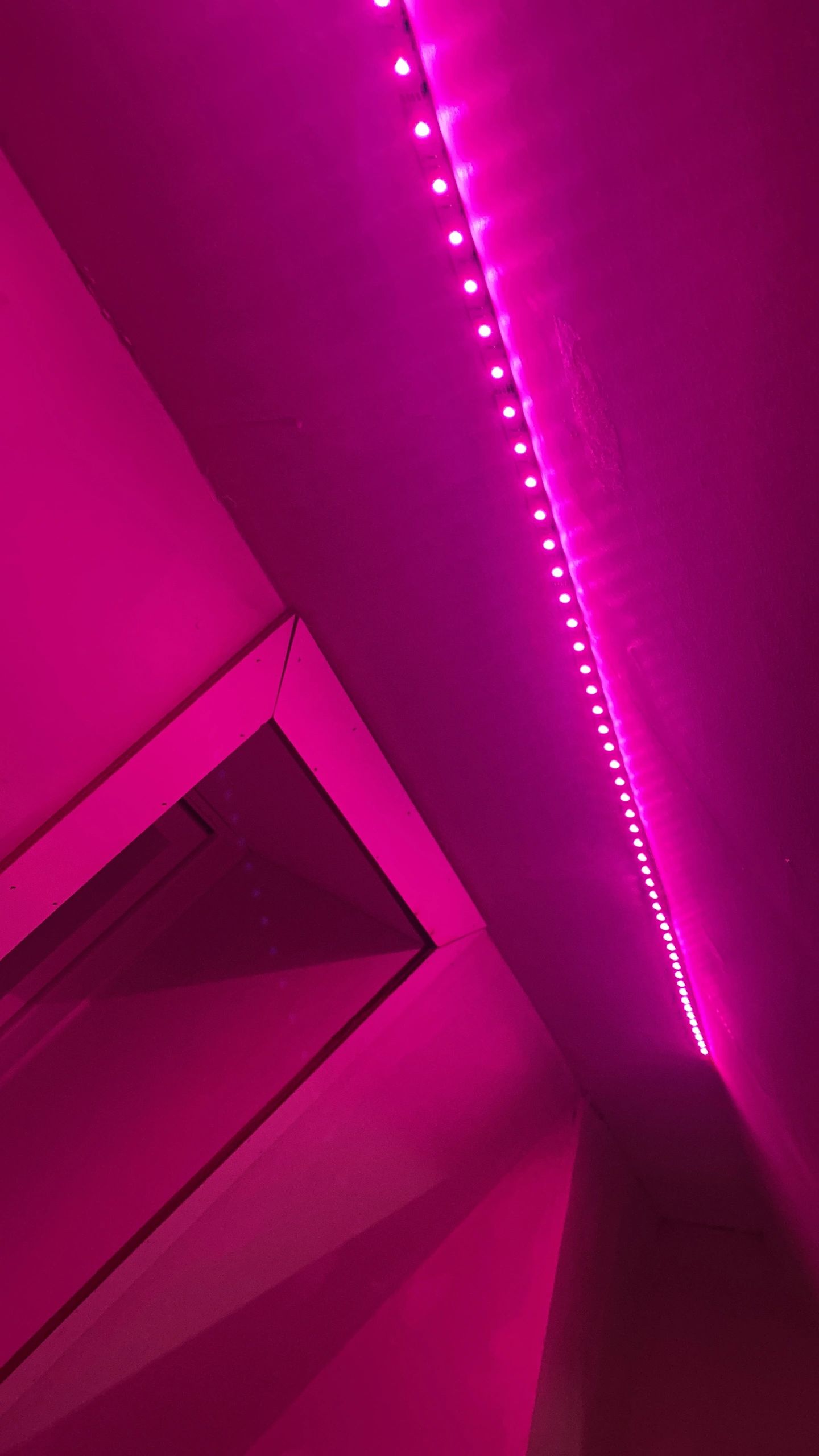 20 Meter komplettes RGBW -LED -Streifen mit Zigbee -Steuerung