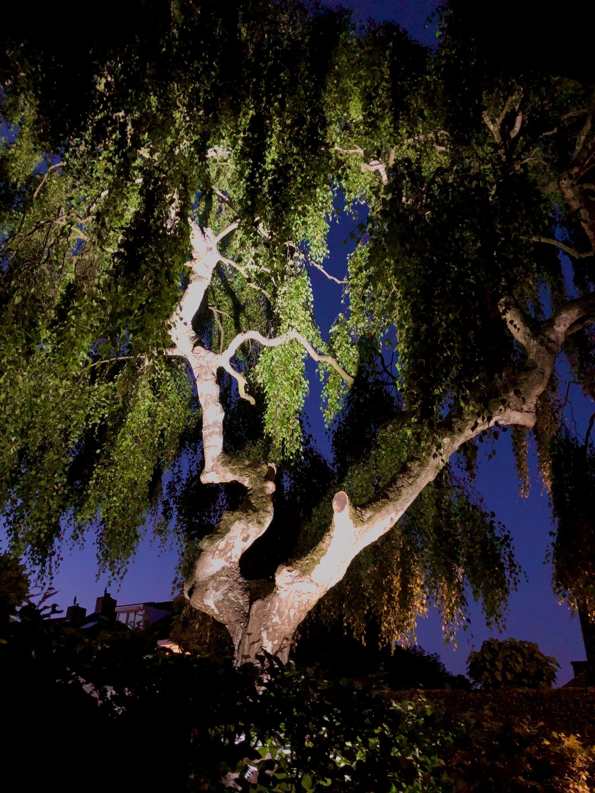 WLAN LED Gartenstrahler Set RGBWW mit WLAN Modul 6 Watt