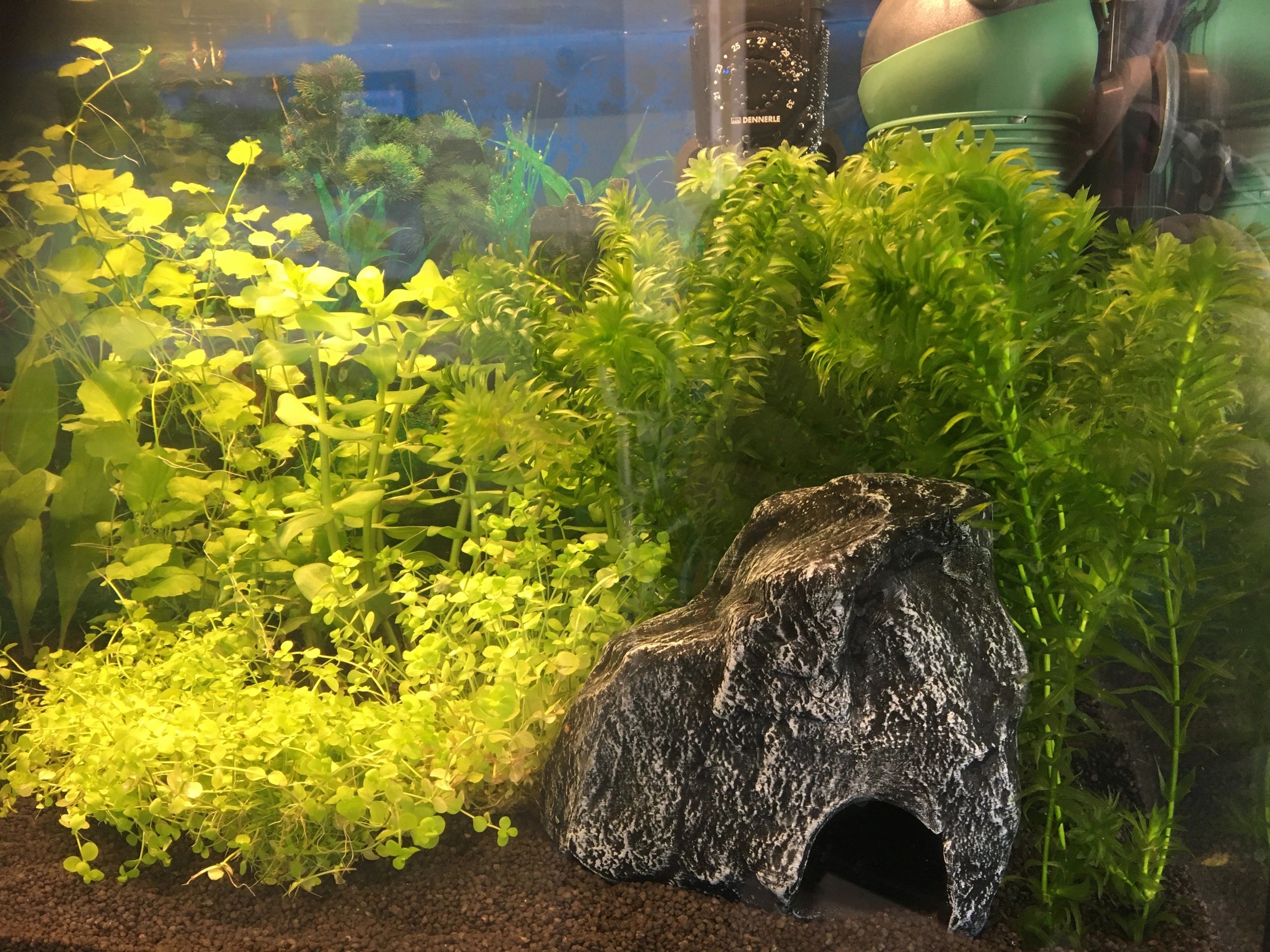 2 bis 2,5 Meter Warmweiß komplettes Set Aquarium LED Streifen