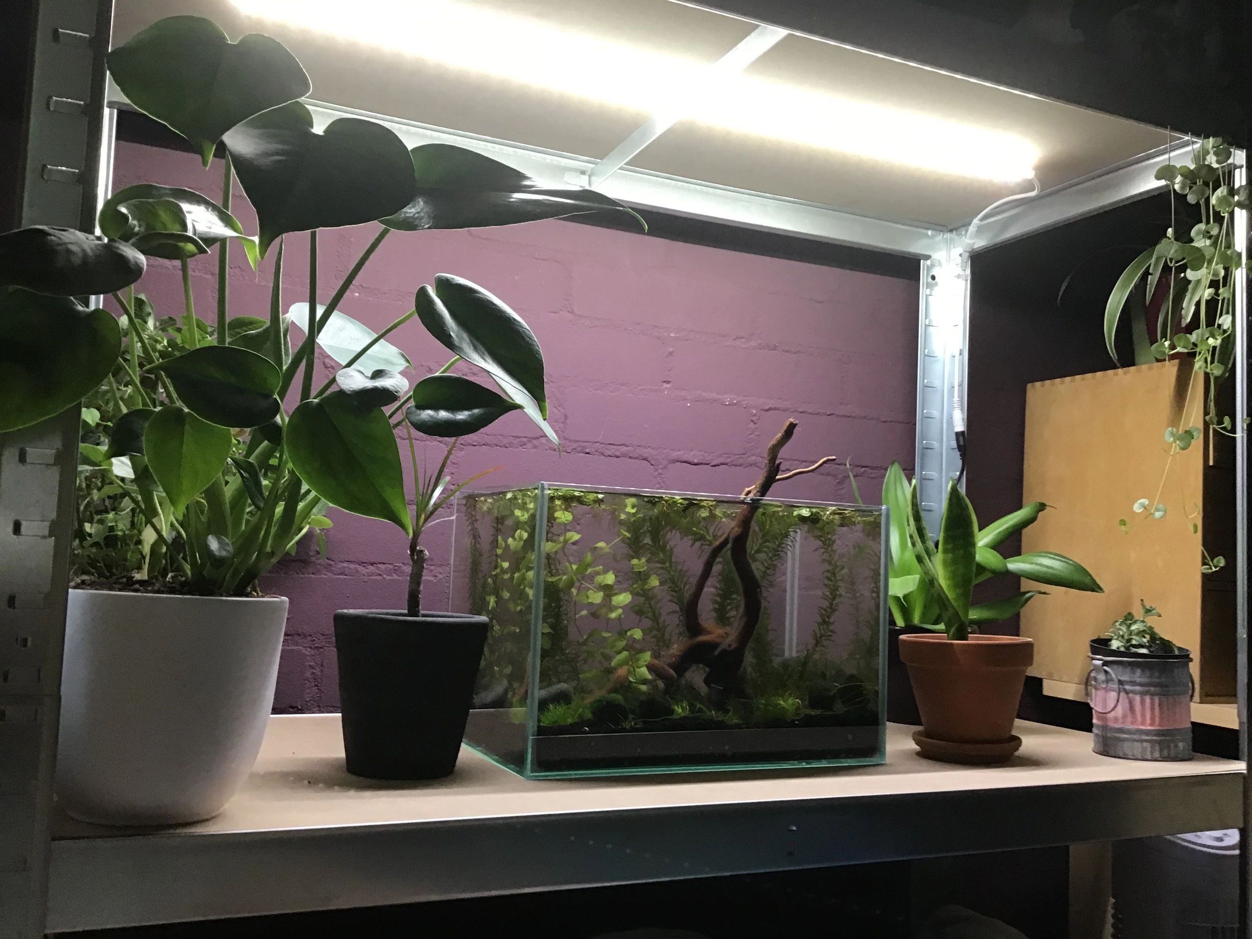 70 bis 100 cm Neutralweiß komplettes Set Aquarium LED Streifen