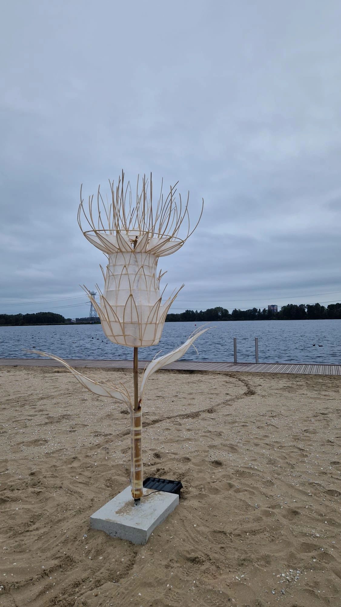 Wasserdichtes Gehäuse Dribox klein für Steuerung