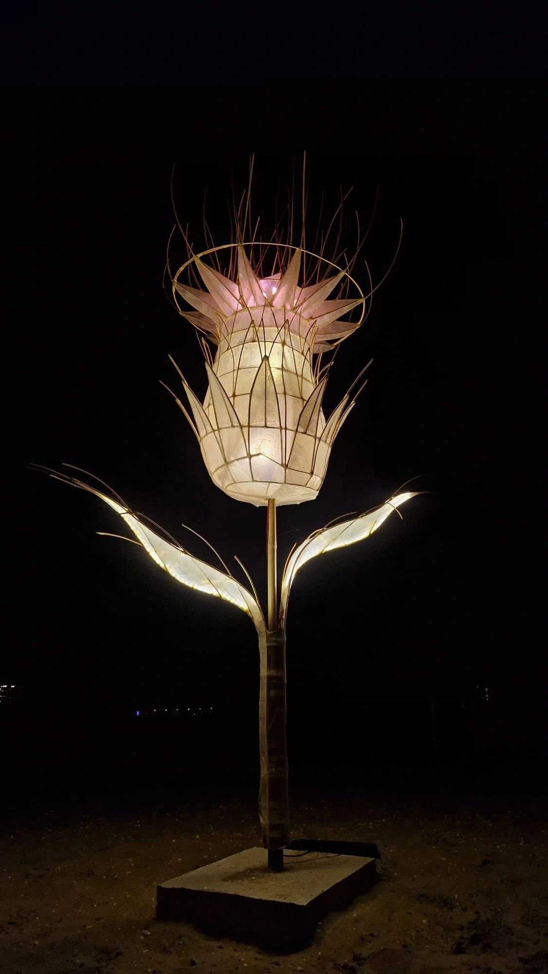 Wasserdichtes Gehäuse Dribox klein für Steuerung