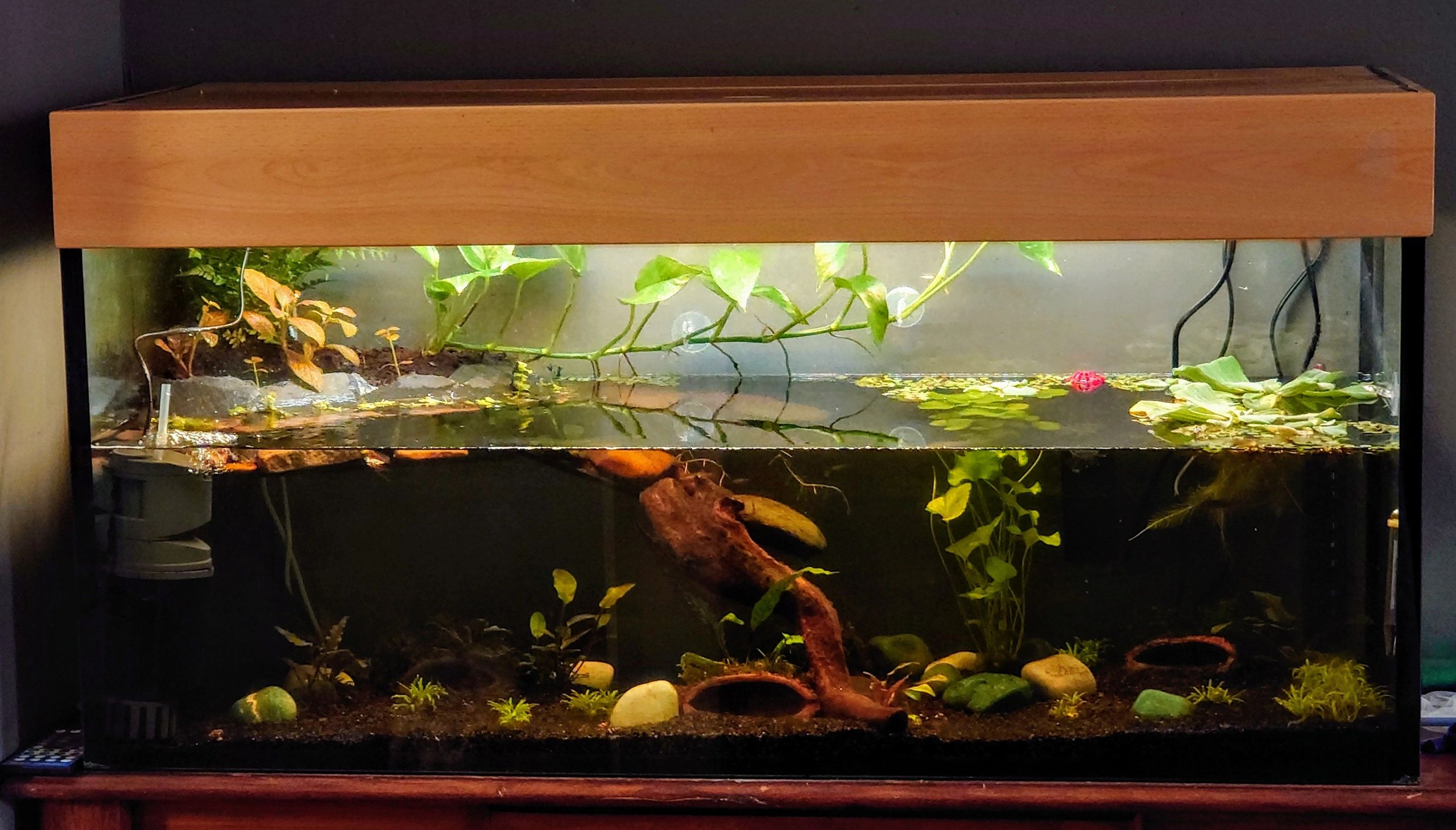 RGB LED Streifen einfarbiger Streifen 50 - 70 cm komplettes Set