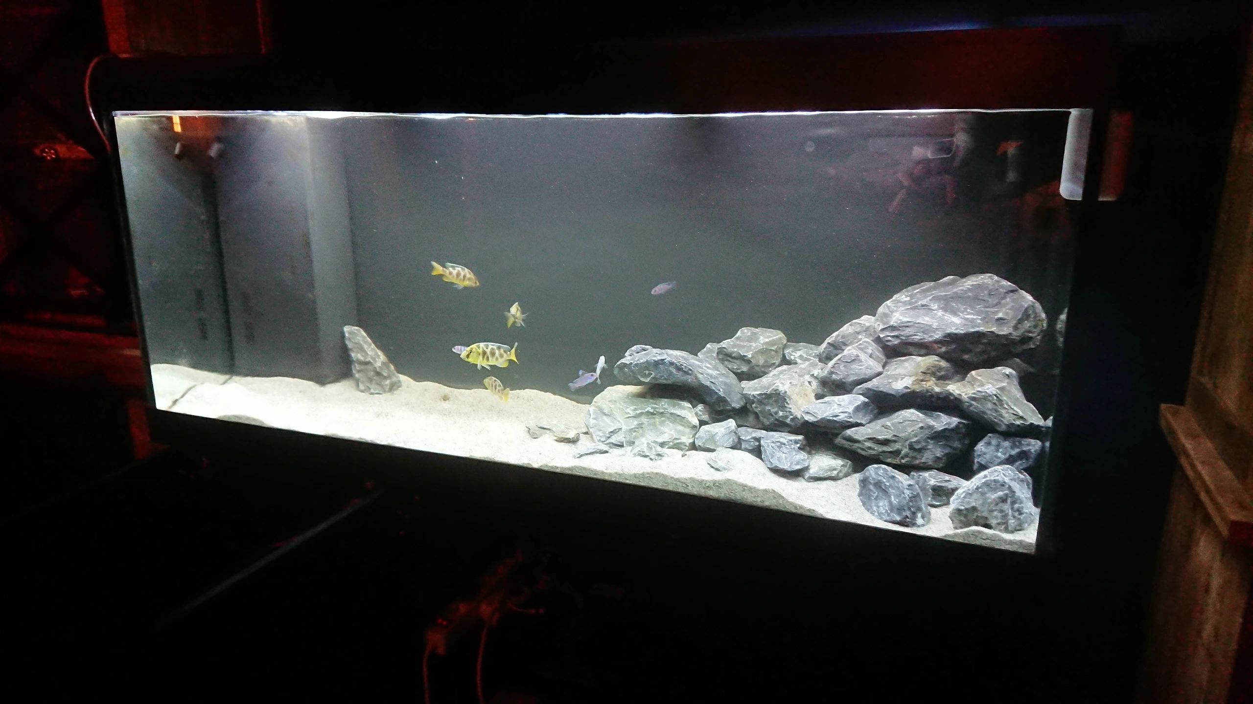 Time Steuerung Set 'Advanced' < 70cm