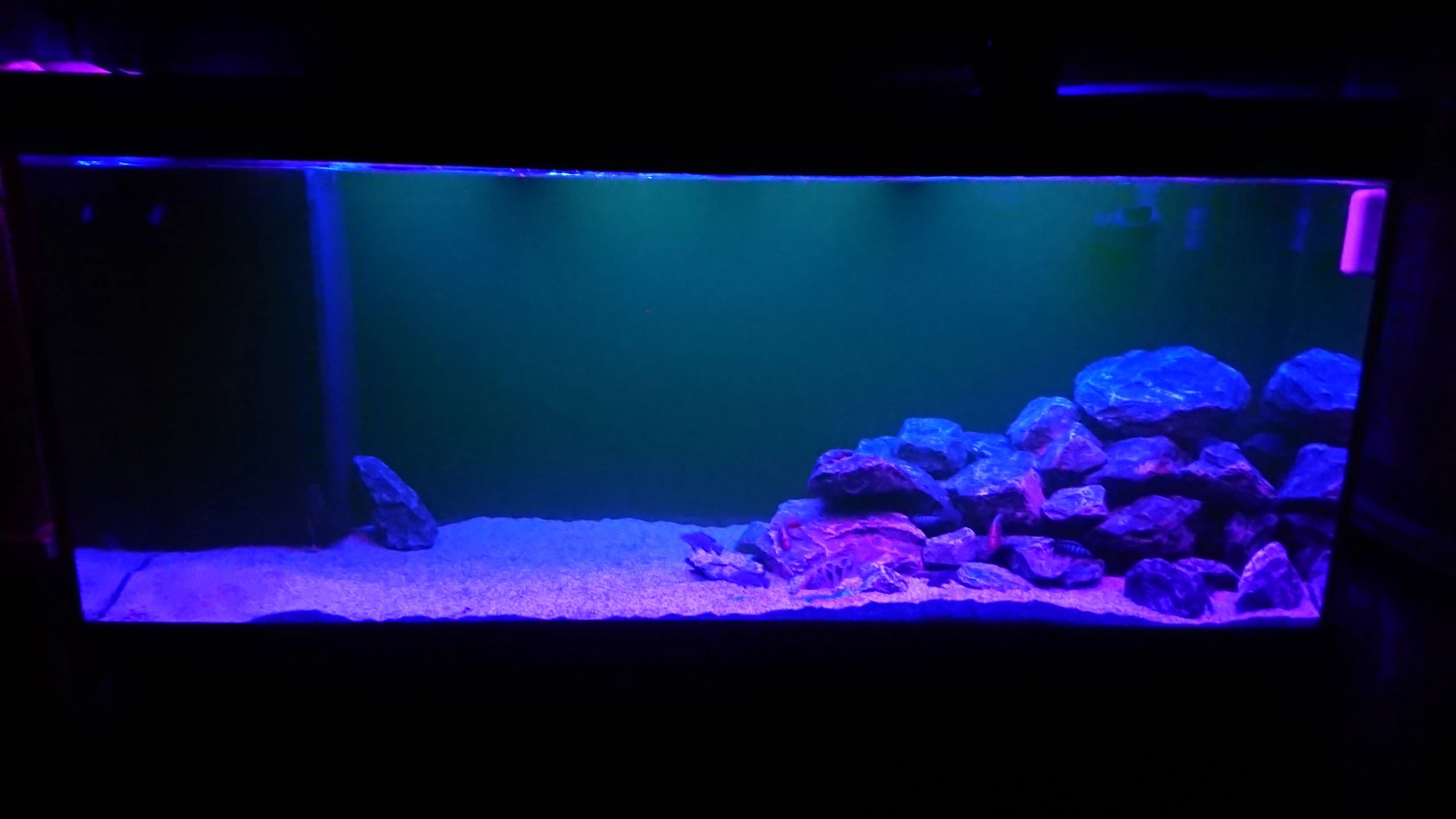 Time Steuerung Set 'Advanced' < 70cm