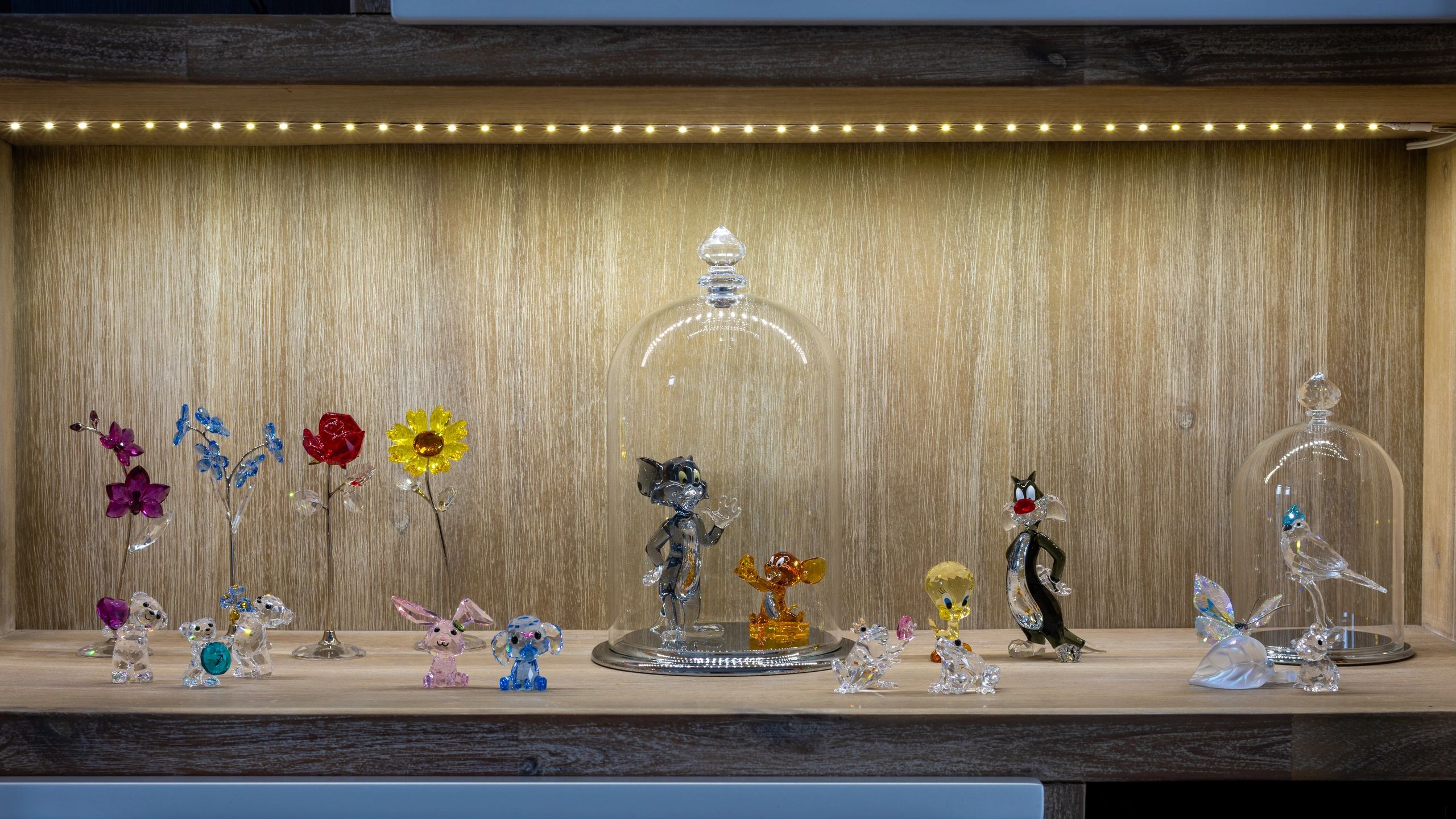 5m 360 leds komplettset led streifen kaltweiss