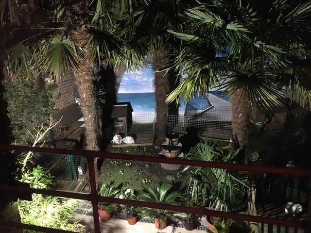 RGBW WLAN LED Scheinwerfer Baulampe 20 Watt IP65 - lose