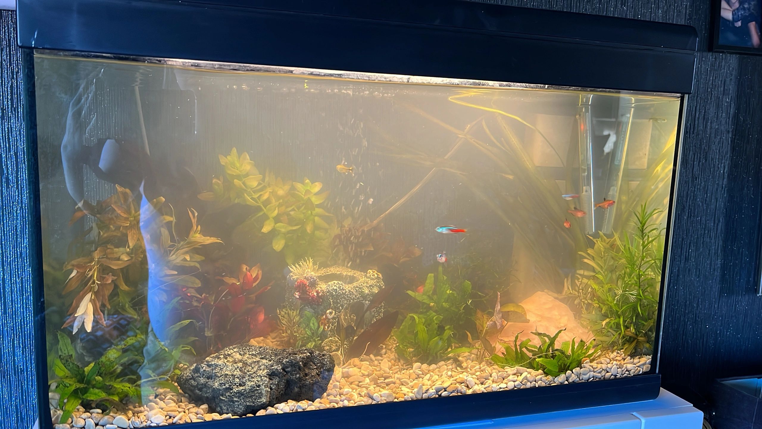 2 bis 2,5 Meter Warmweiß komplettes Set Aquarium LED Streifen