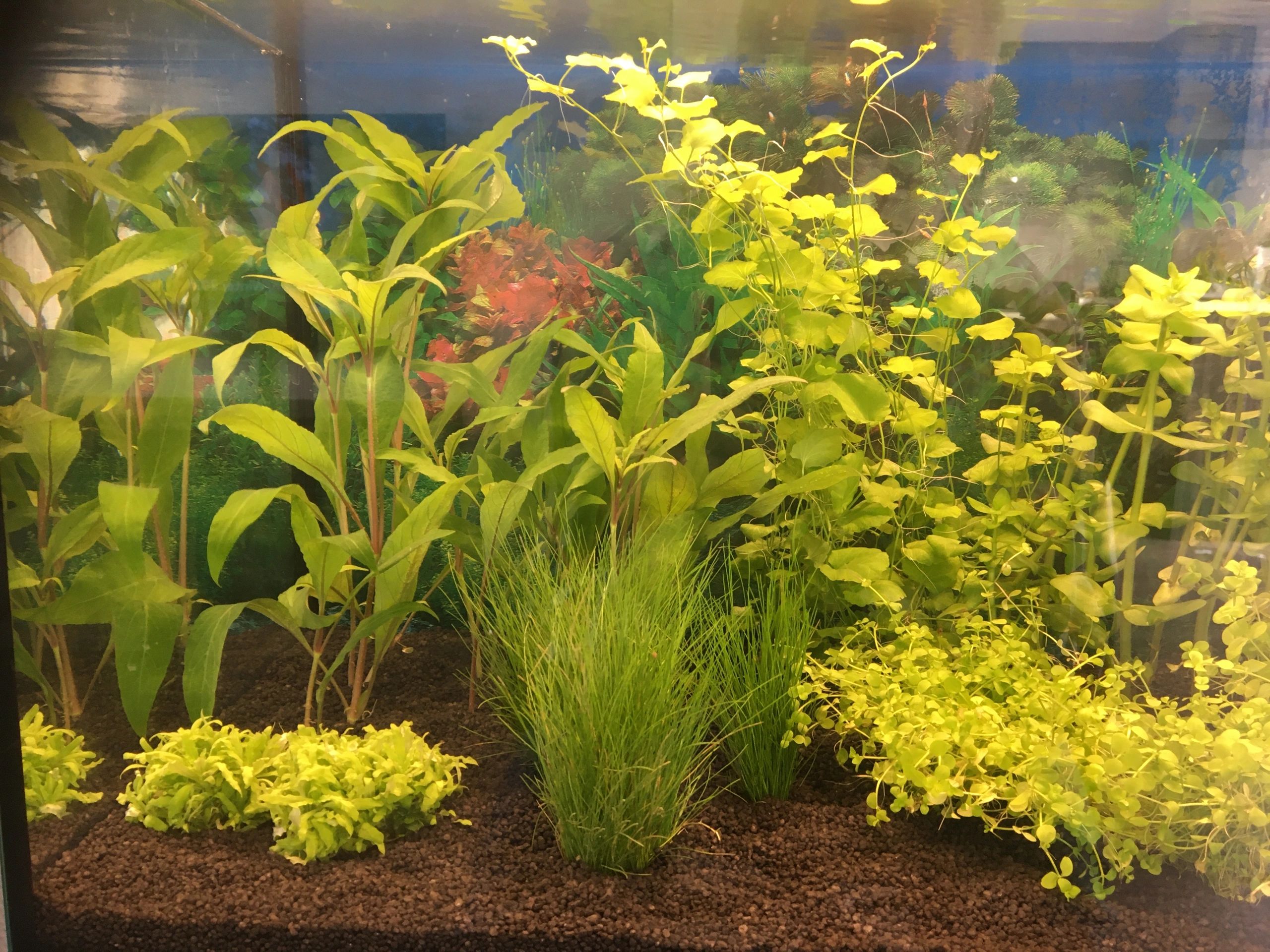 2 bis 2,5 Meter Warmweiß komplettes Set Aquarium LED Streifen