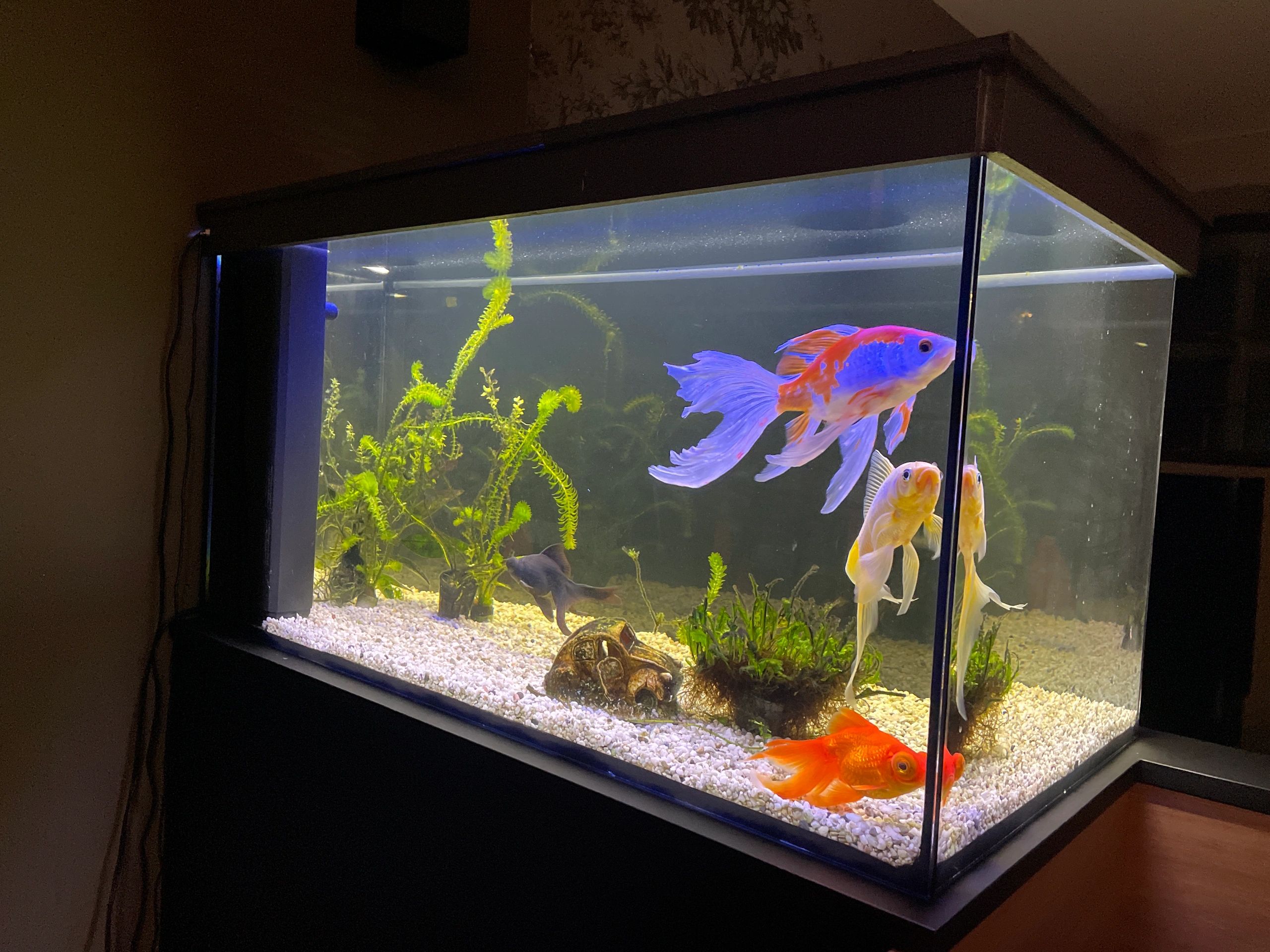 RGB LED Streifen einfarbiger Streifen 50 - 70 cm komplettes Set