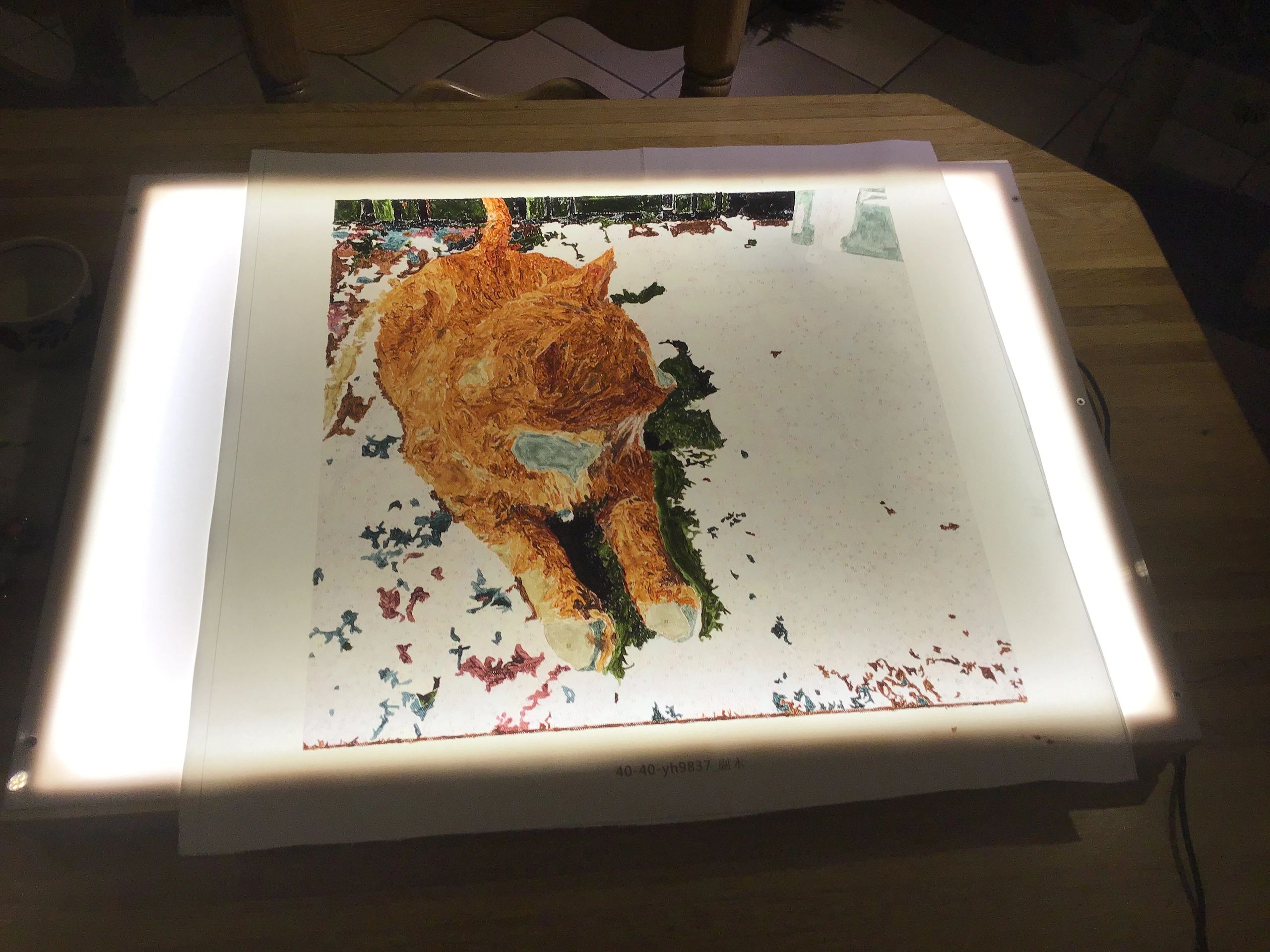 1M - 120 LEDs Komplettset LED-Streifen Kaltweiß