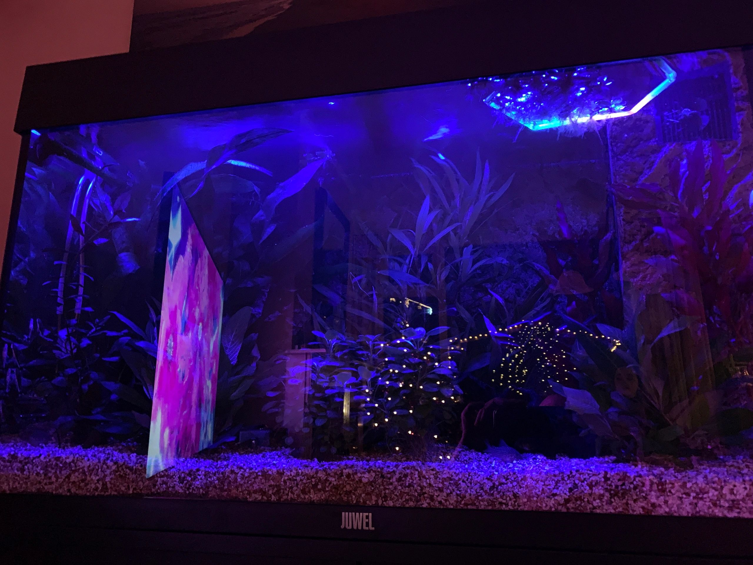 2,5 bis 5 Meter RGB komplettes Set Aquarium LED Streifen
