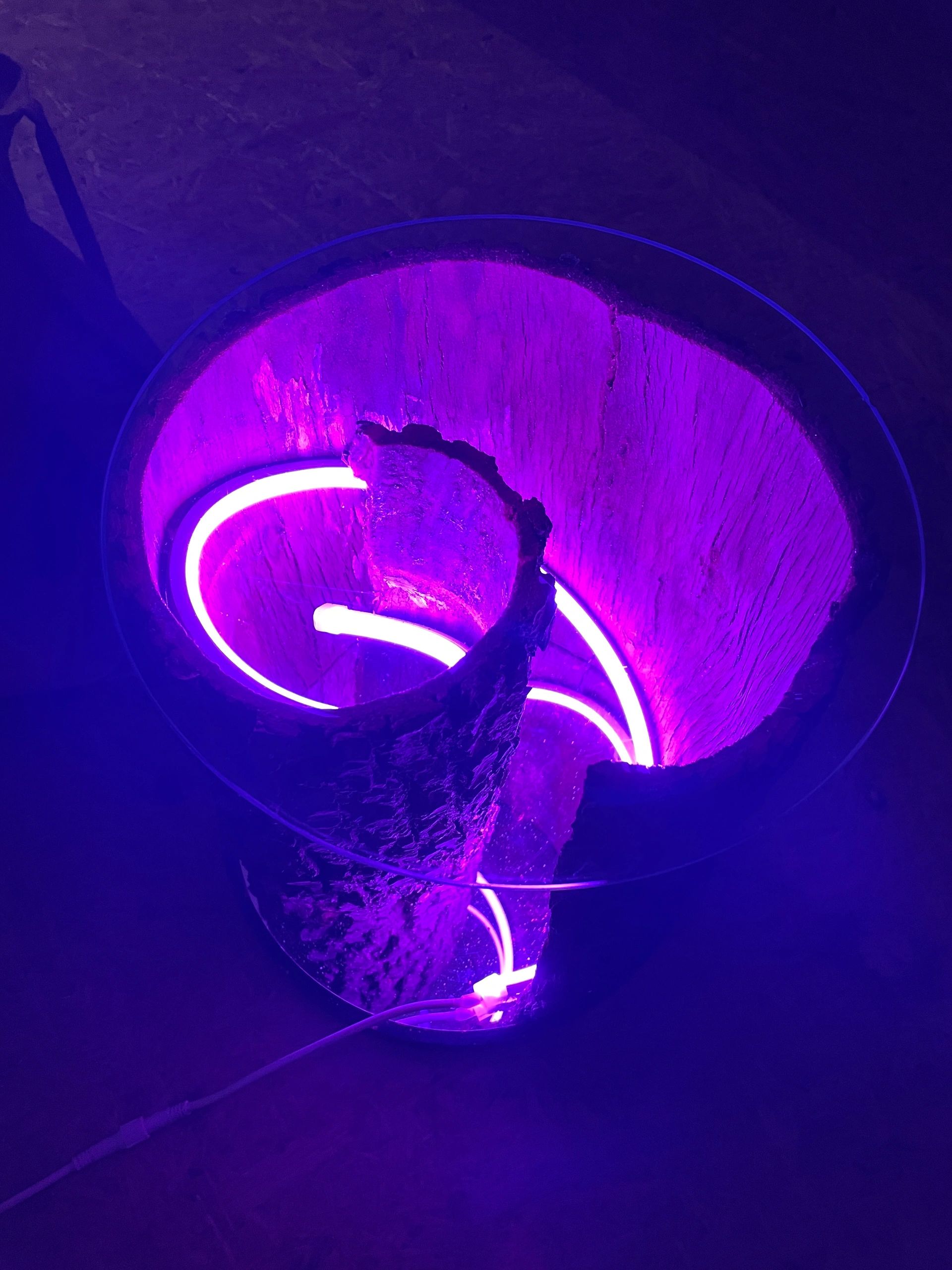 2 Meter RGB Neon LED Flex Midi gerade - komplettes Set Neon Beleuchtung