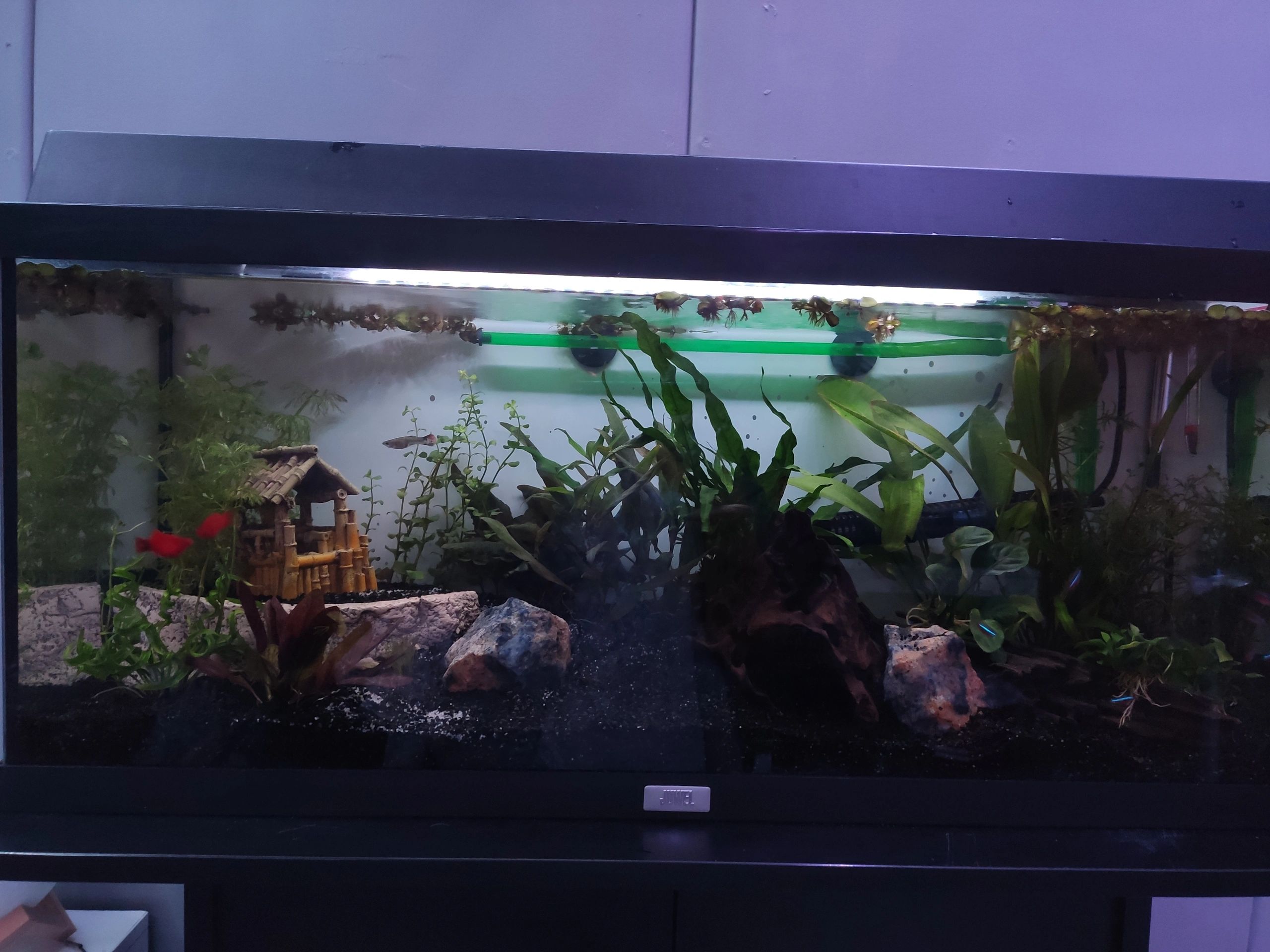 2 x RGB LED Streifen + 1 einfarbigen Streifen: 70 - 100 cm komplettes Set