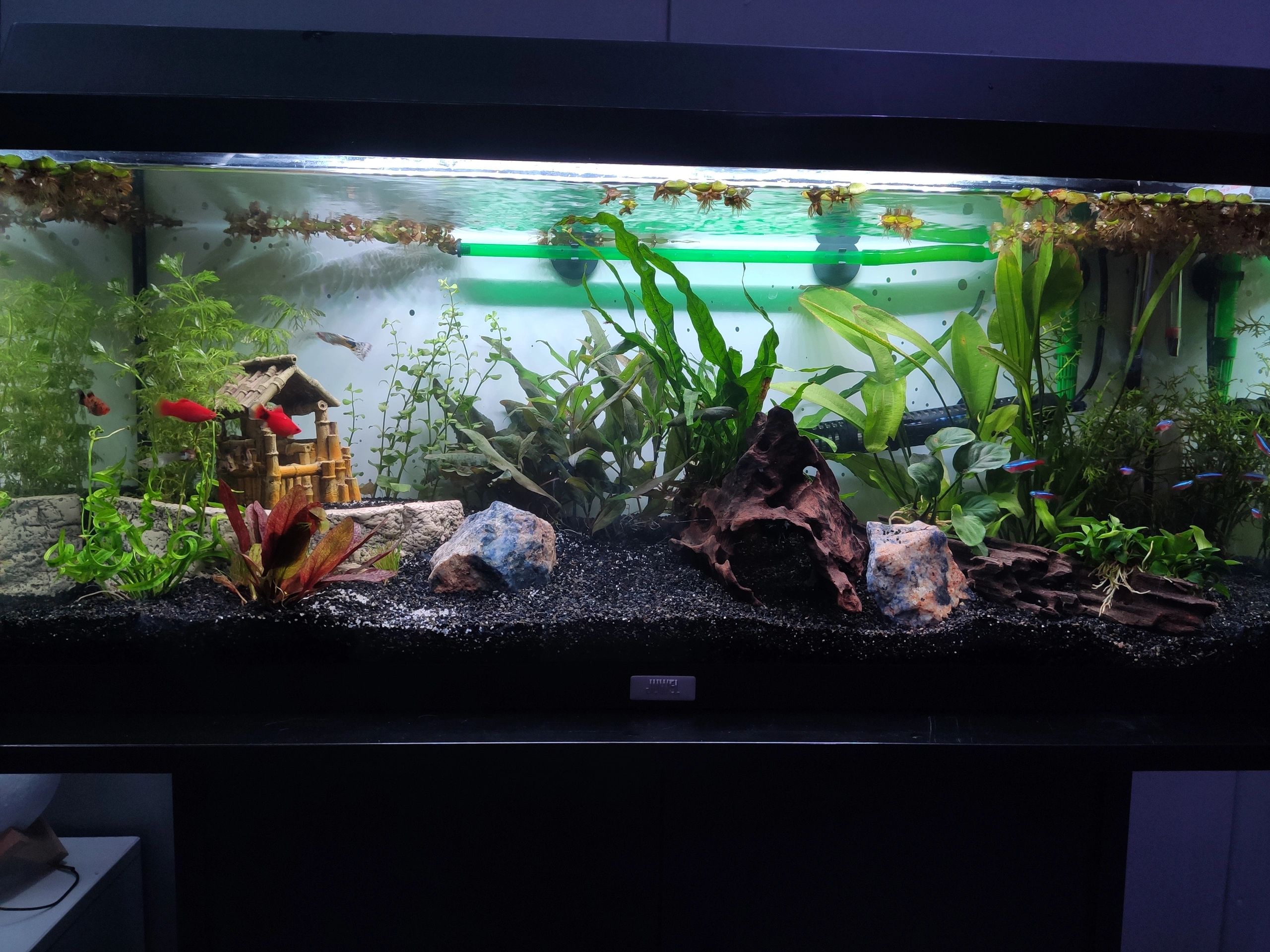 2 x RGB LED Streifen + 1 einfarbigen Streifen: 70 - 100 cm komplettes Set