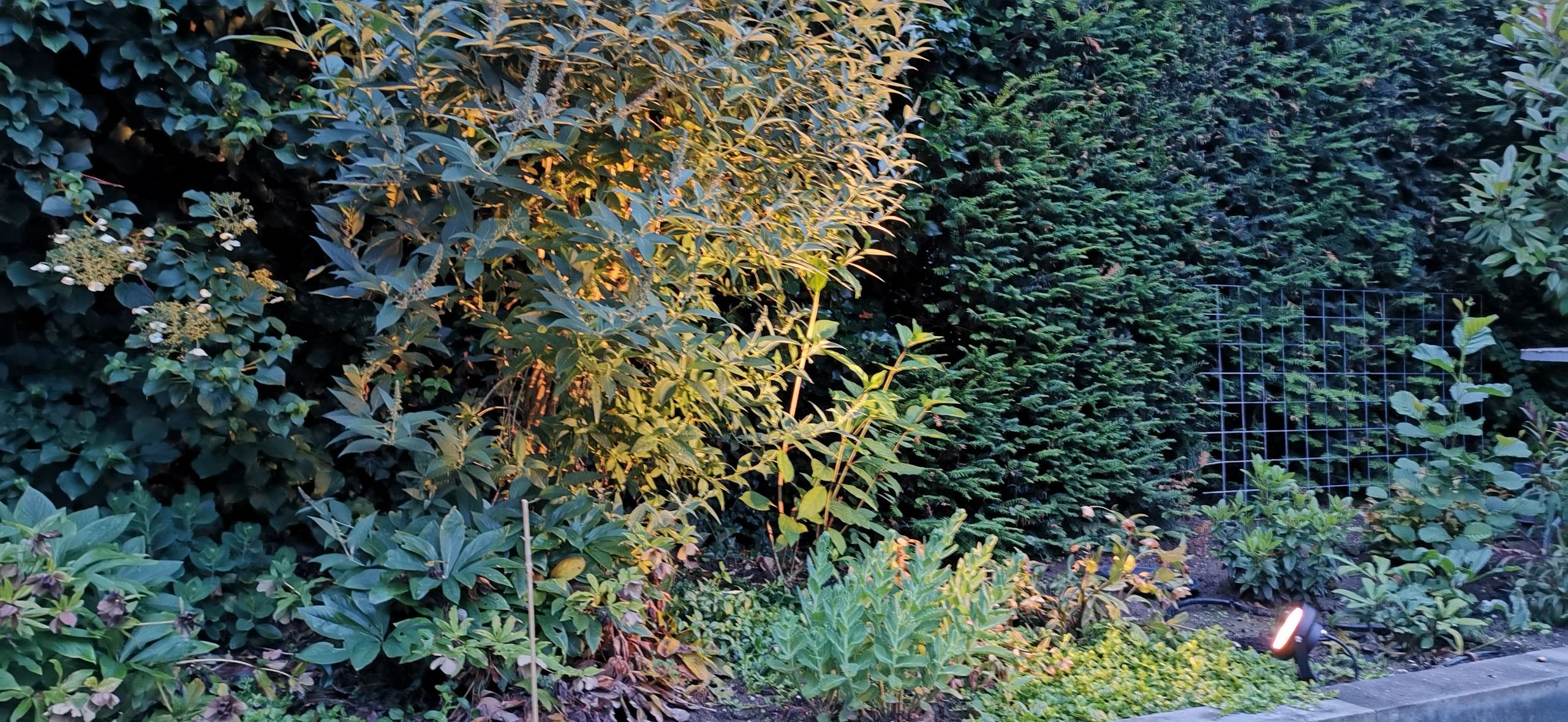 Zigbee LED Gartenstrahler mit RGBWW Farben 12 Watt