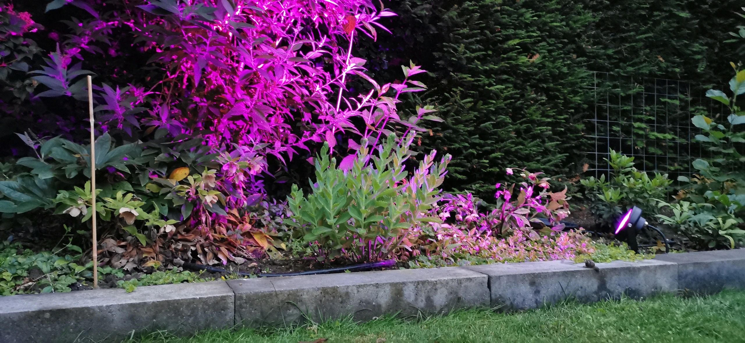 Zigbee LED Gartenstrahler mit RGBWW Farben 12 Watt