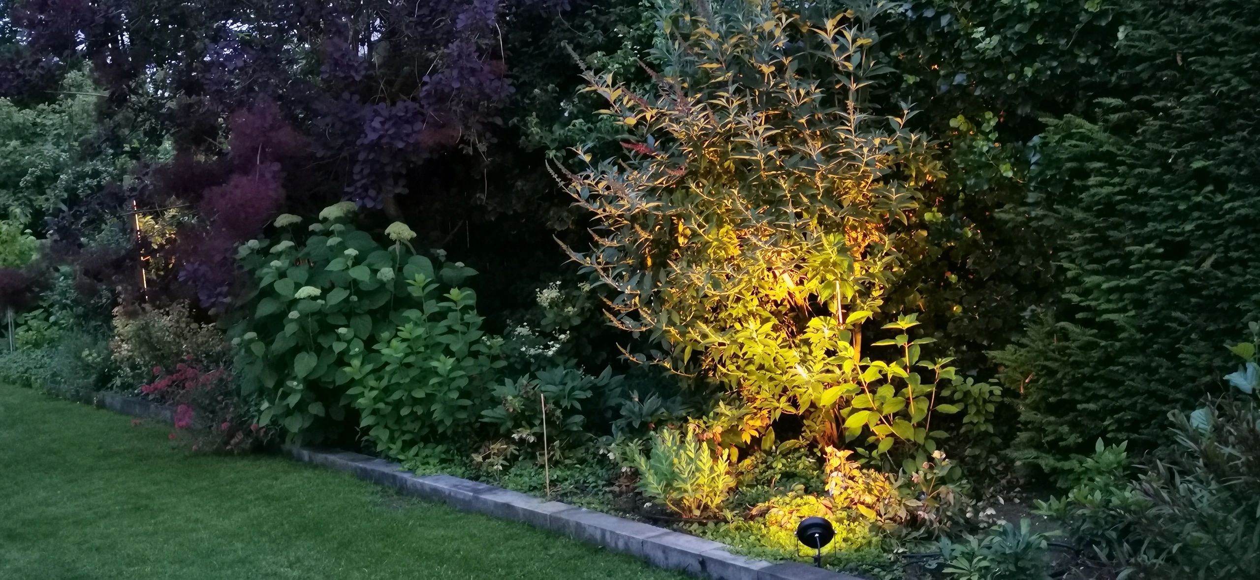 Zigbee LED Gartenstrahler mit RGBWW Farben 12 Watt