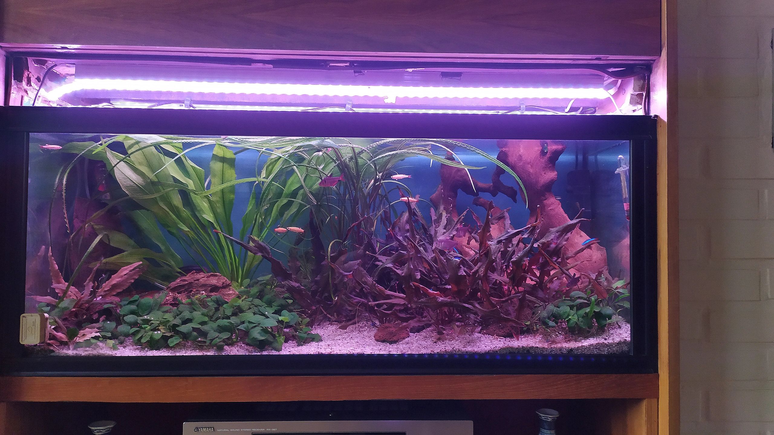 RGB LED Streifen einfarbiger Streifen 50 - 70 cm komplettes Set