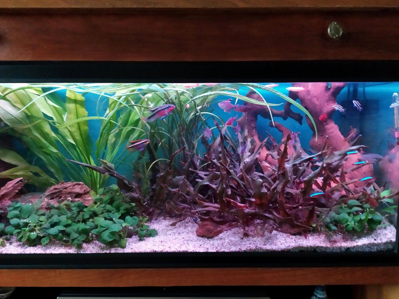 RGB LED Streifen einfarbiger Streifen 50 - 70 cm komplettes Set