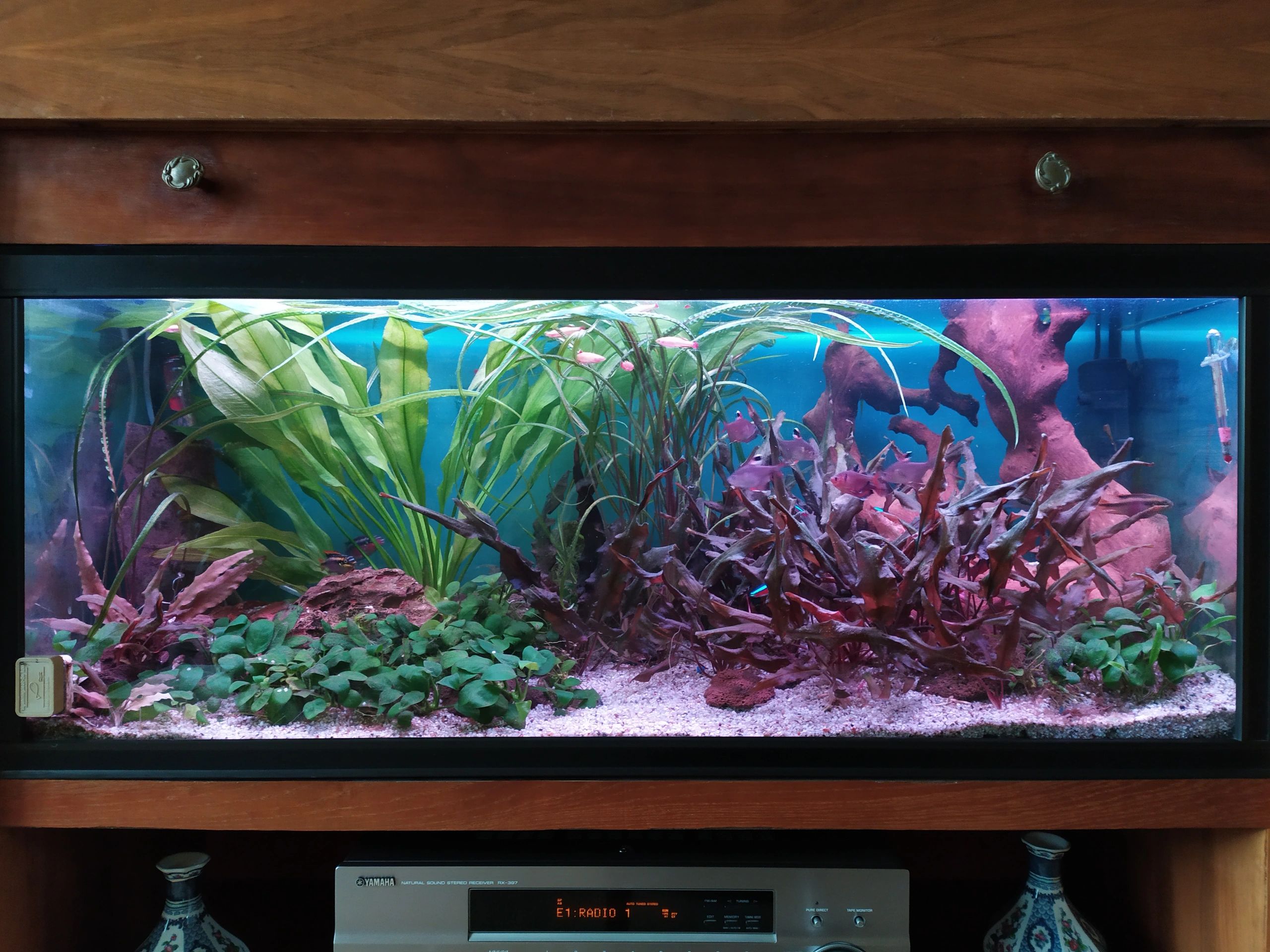 RGB LED Streifen einfarbiger Streifen 50 - 70 cm komplettes Set