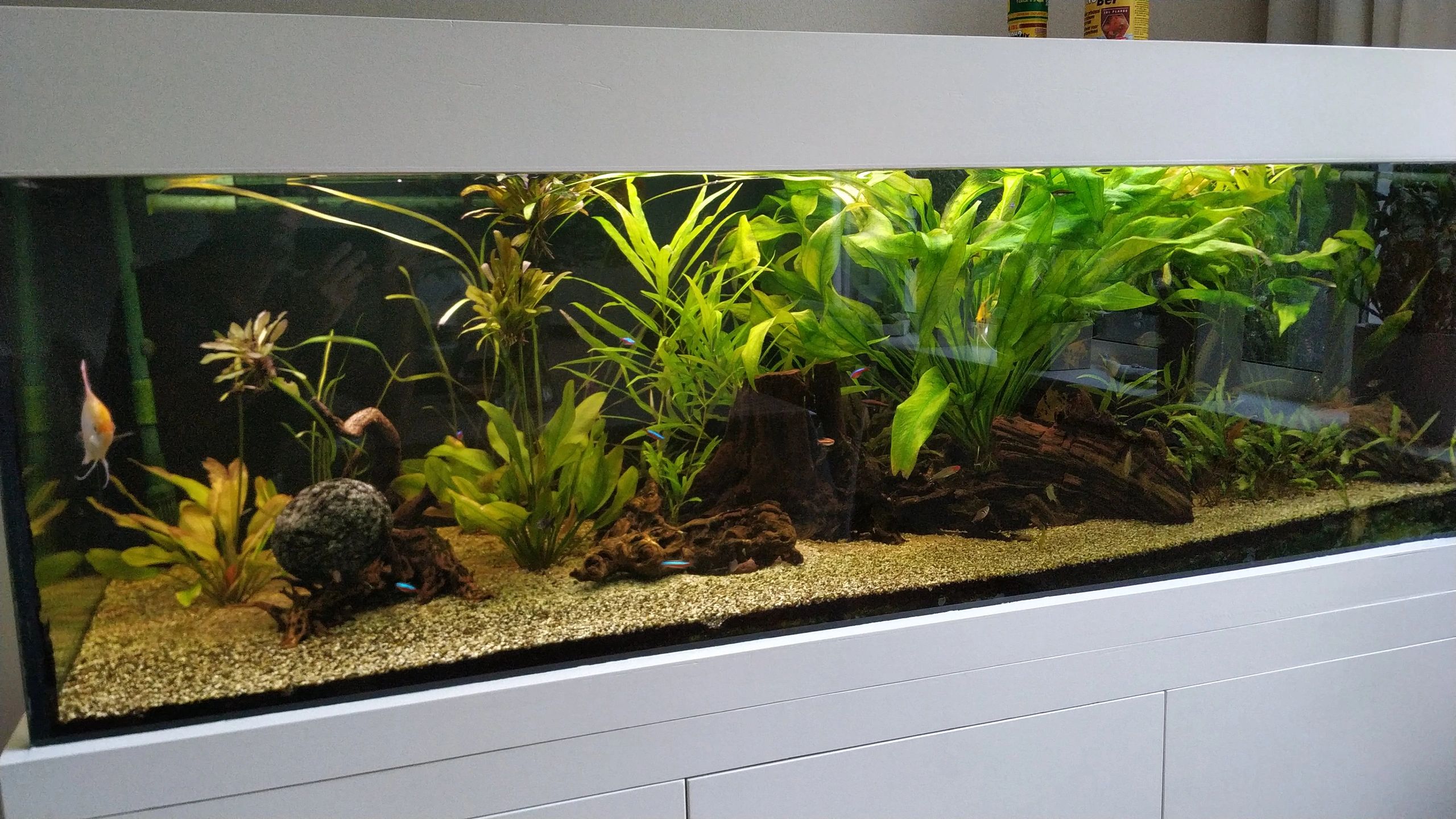 Time Steuerung Set 'Advanced' < 70cm