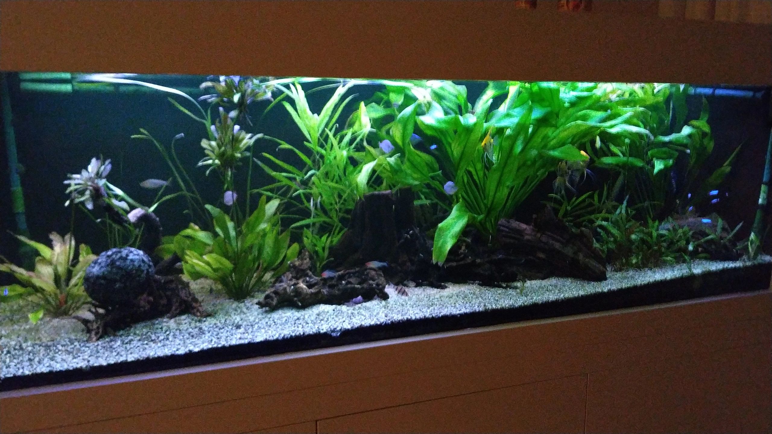 Time Steuerung Set 'Advanced' < 70cm