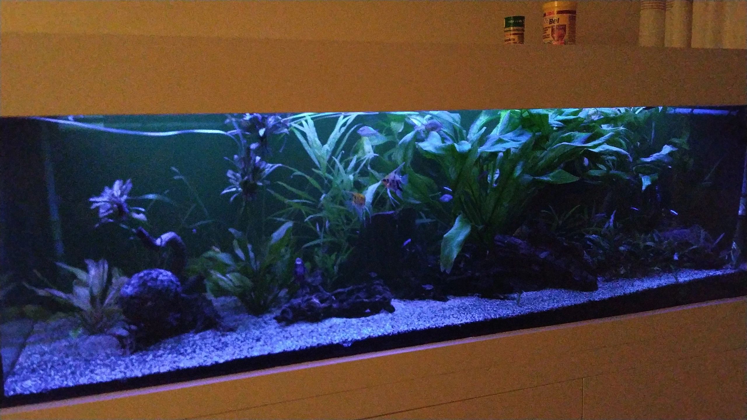 Time Steuerung Set 'Advanced' < 70cm