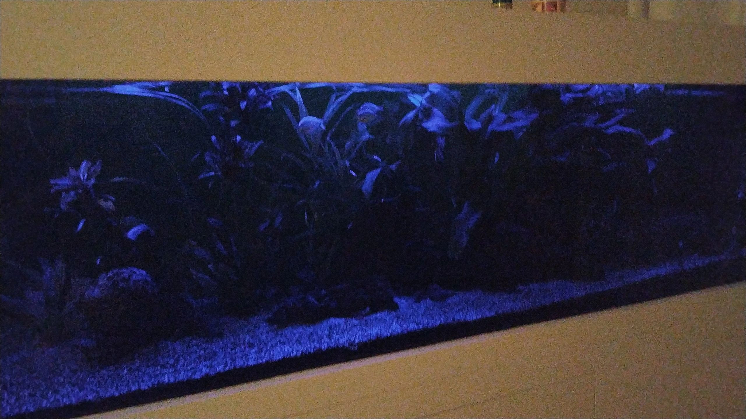 Time Steuerung Set 'Advanced' < 70cm