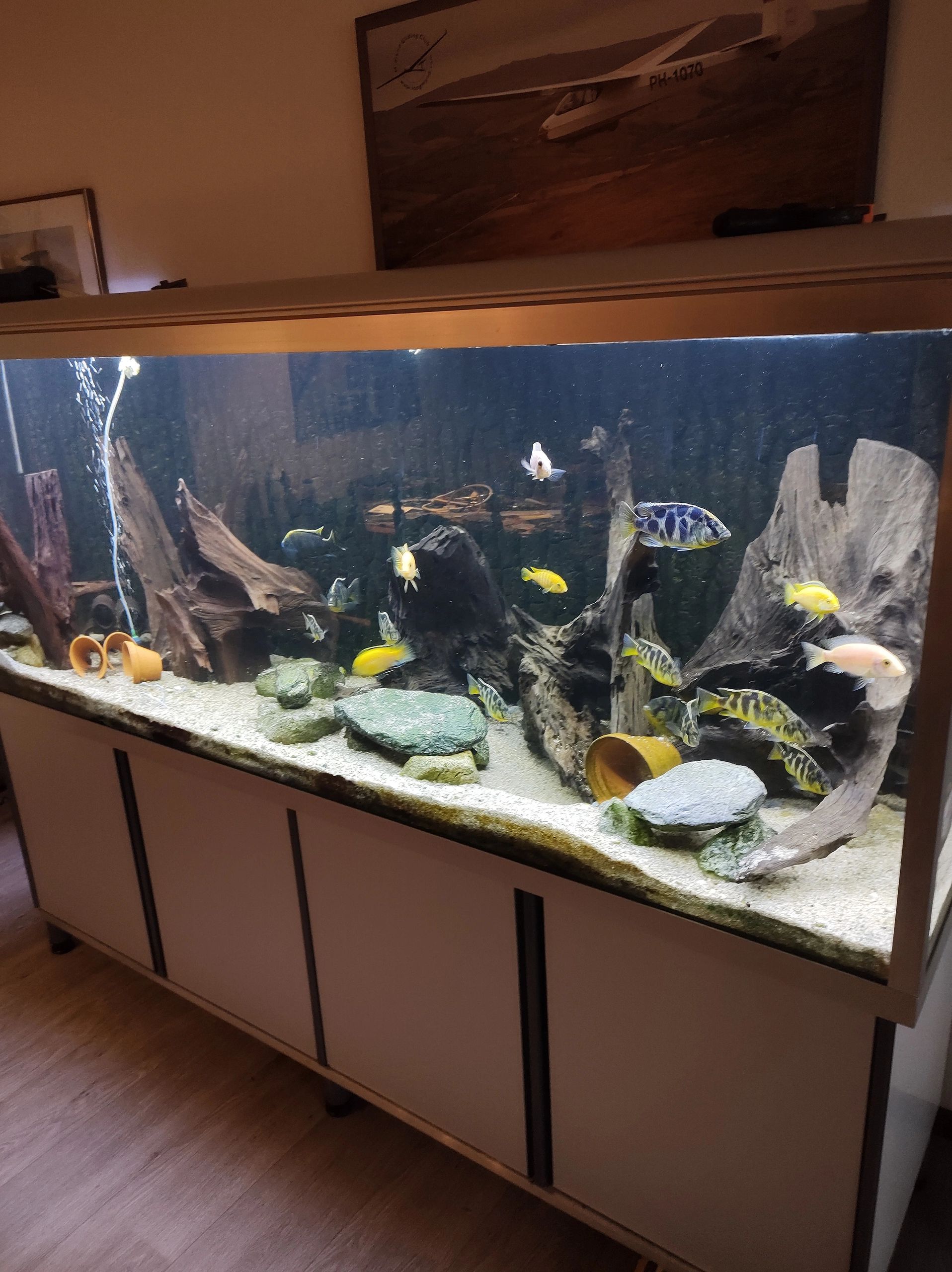 1M - 120 LEDs Komplettset LED-Streifen Kaltweiß