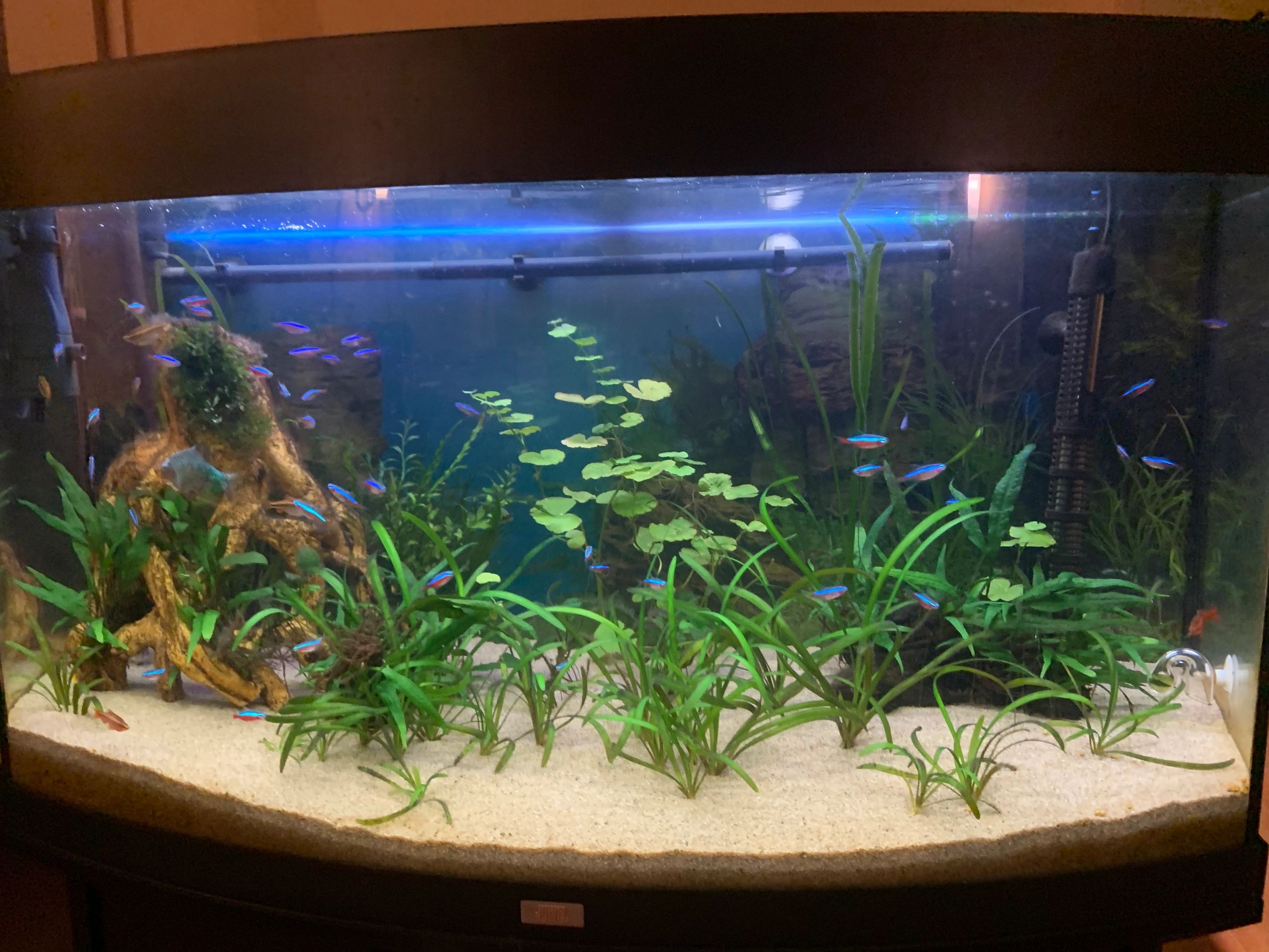 50 bis 70 cm - RGB Aquarium LED Streifen
