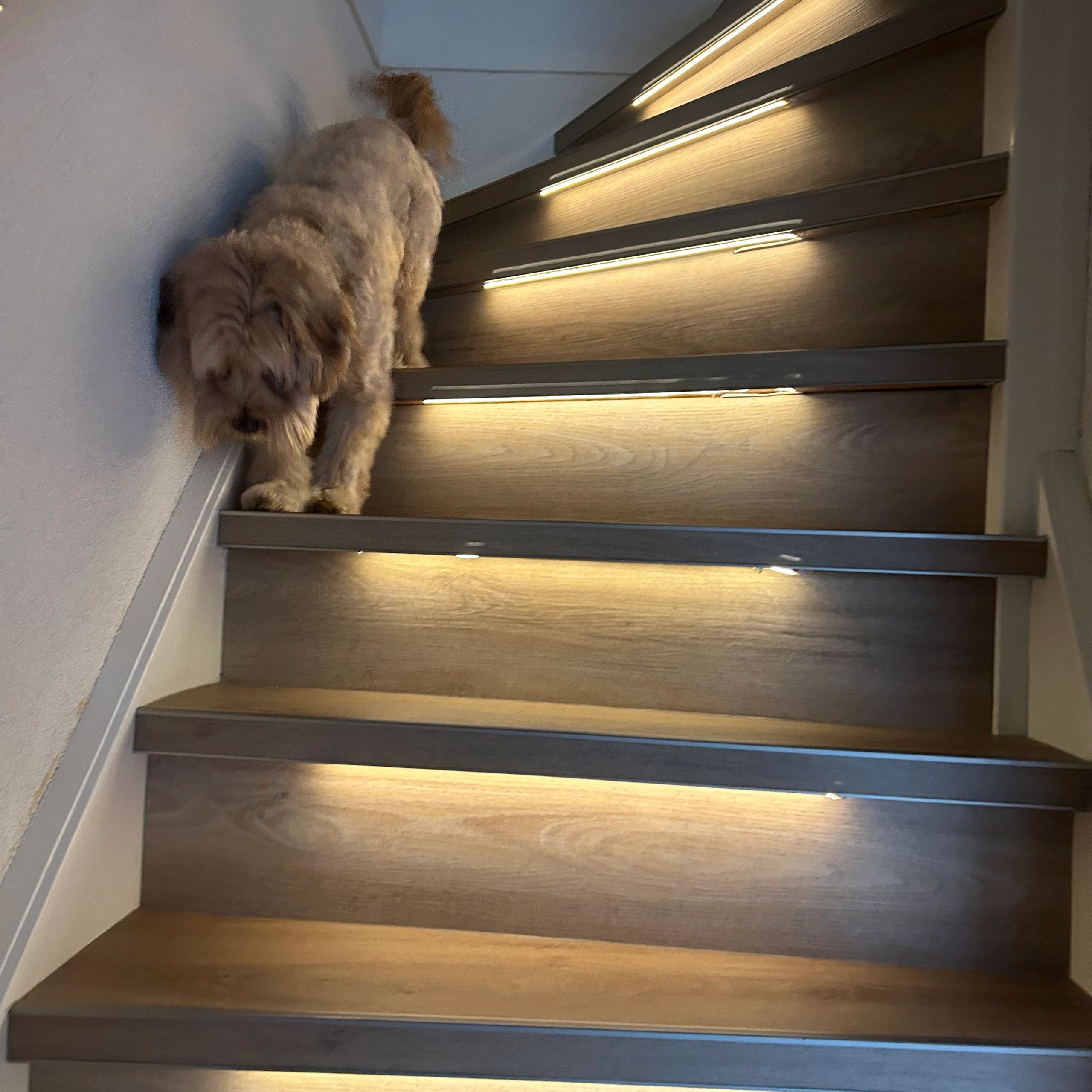 Dynamisches Treppenbeleuchtungsset Premium 50 cm