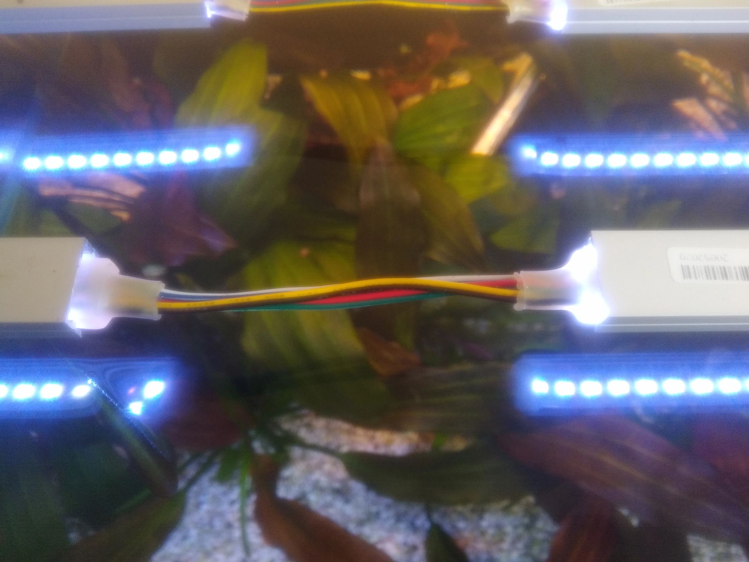 6 Meter RGBWW LED Streifen pro Metereterit 576 Led's - Einzelner Streifen