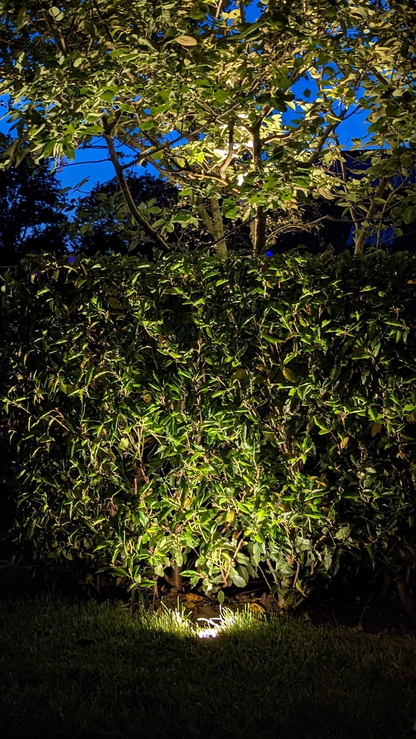 Zigbee Bodeneinbaustrahler für den Außenbereich 6W - Alle Farben und Weißtöne - Gerade