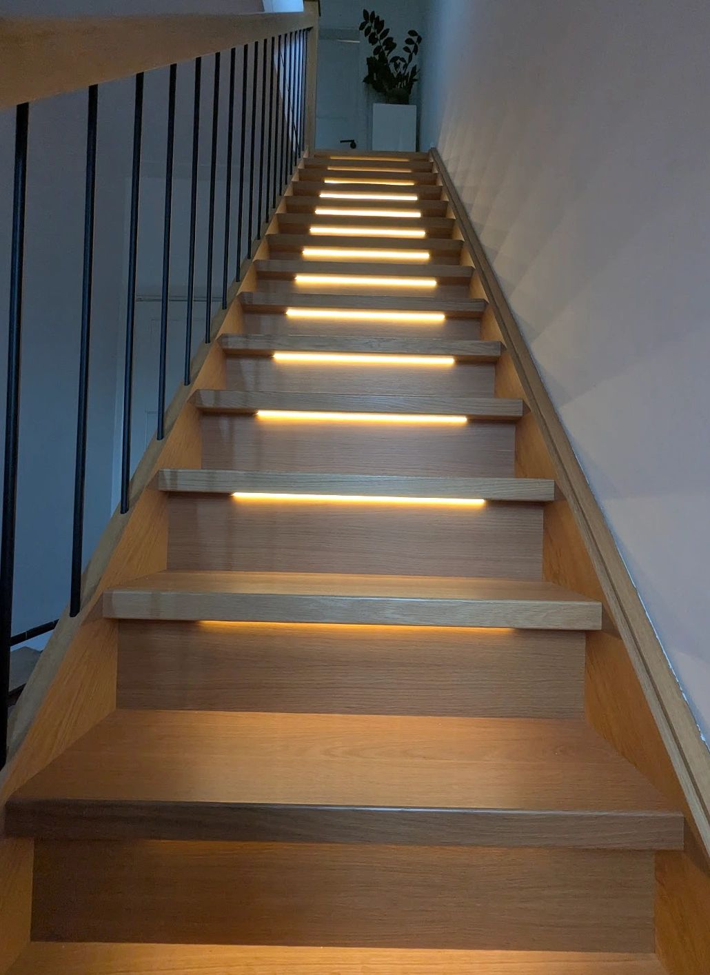 Dynamisches Treppenbeleuchtungsset Premium 50 cm