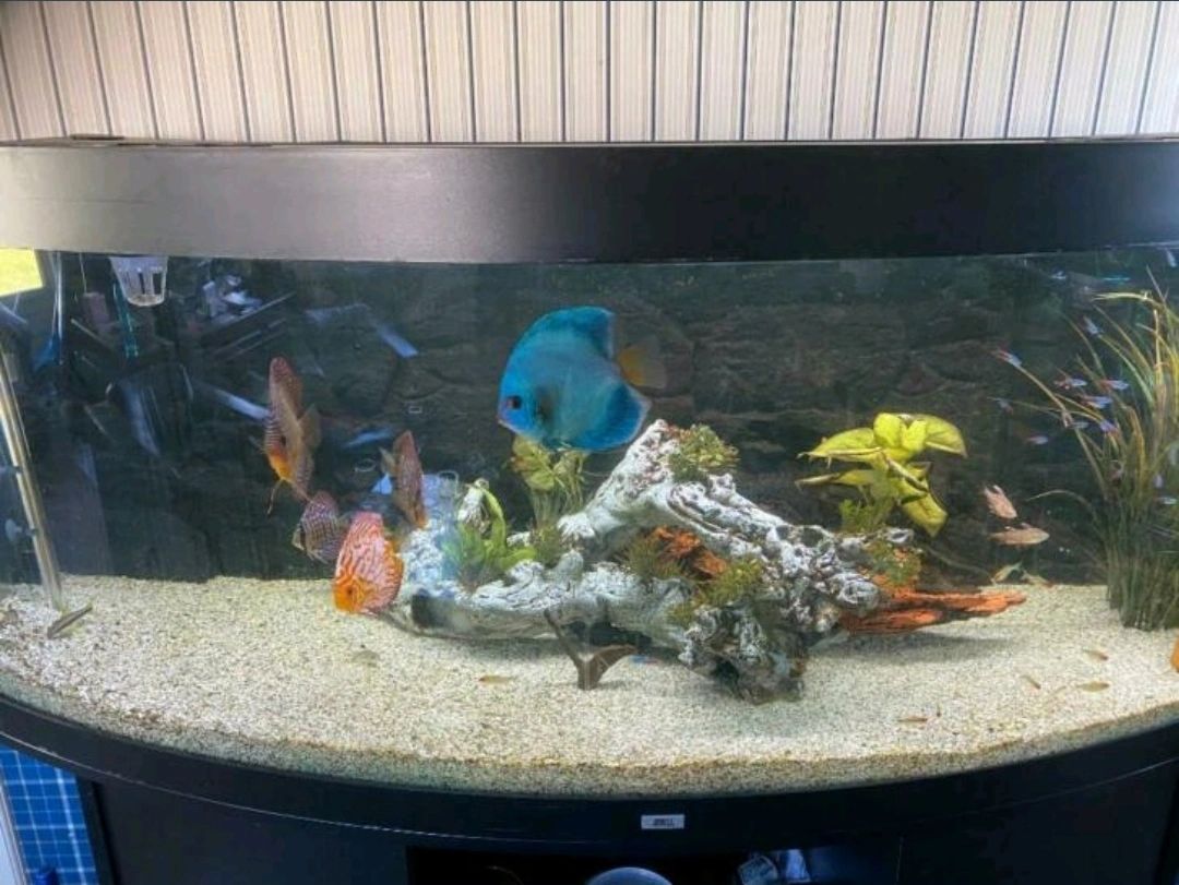 USB-stick für LED Time Steuerung