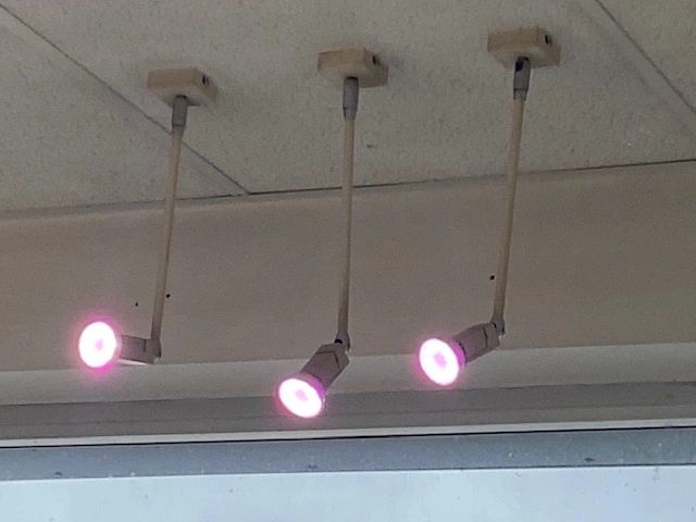 Milight LED Strahler RGBWW 4 Watt MR16 Fassung 12V